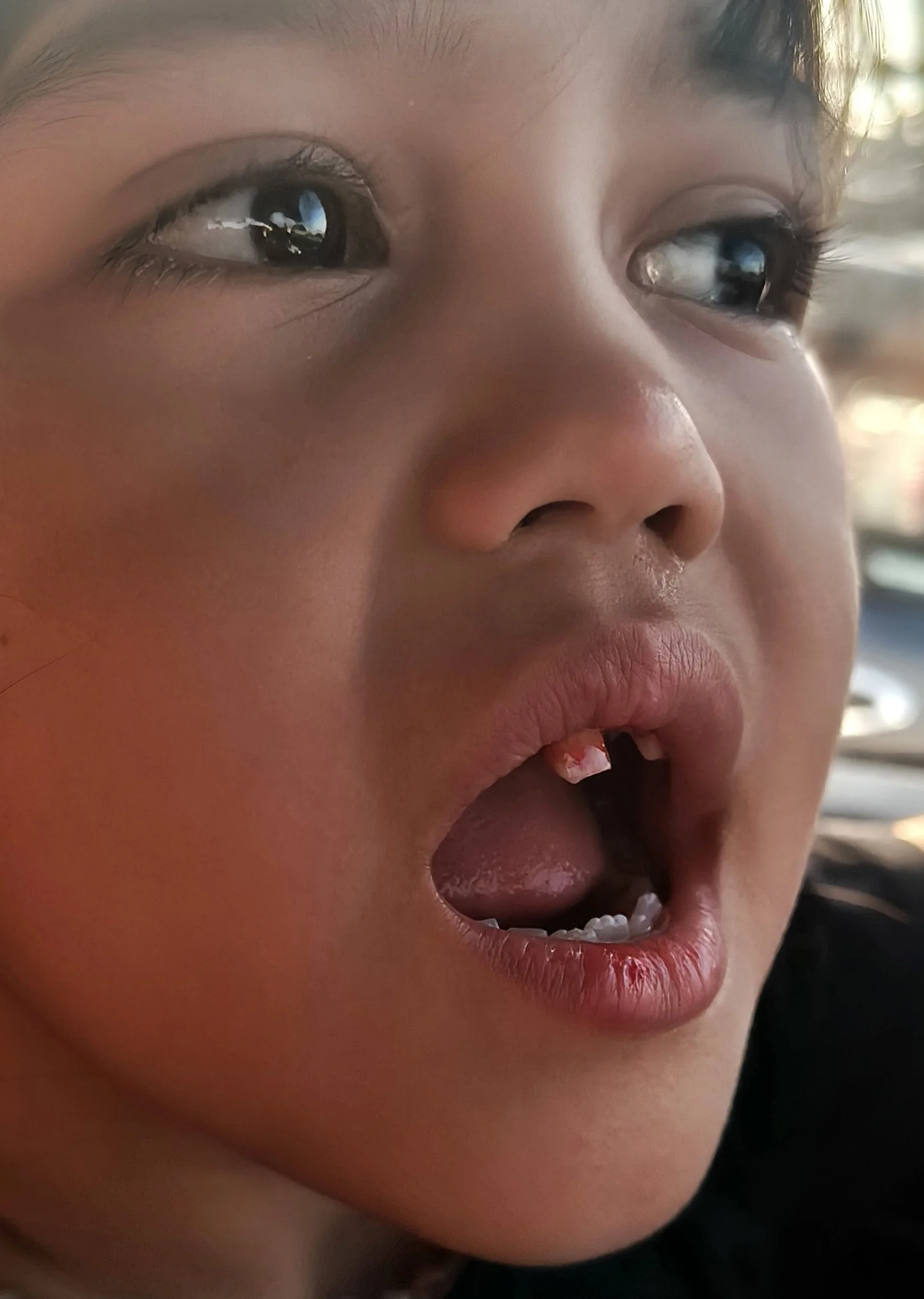 Ngao - Toothless Liana New Year 2025-26 (1).jpg