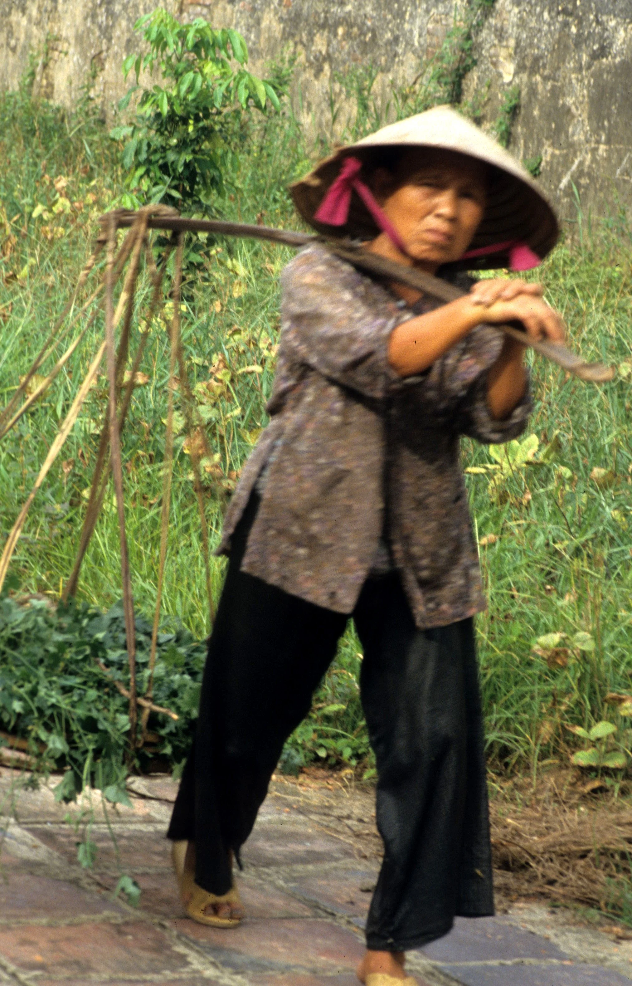 CENTRAL HIGHLANDS - LADY WALKING.jpg