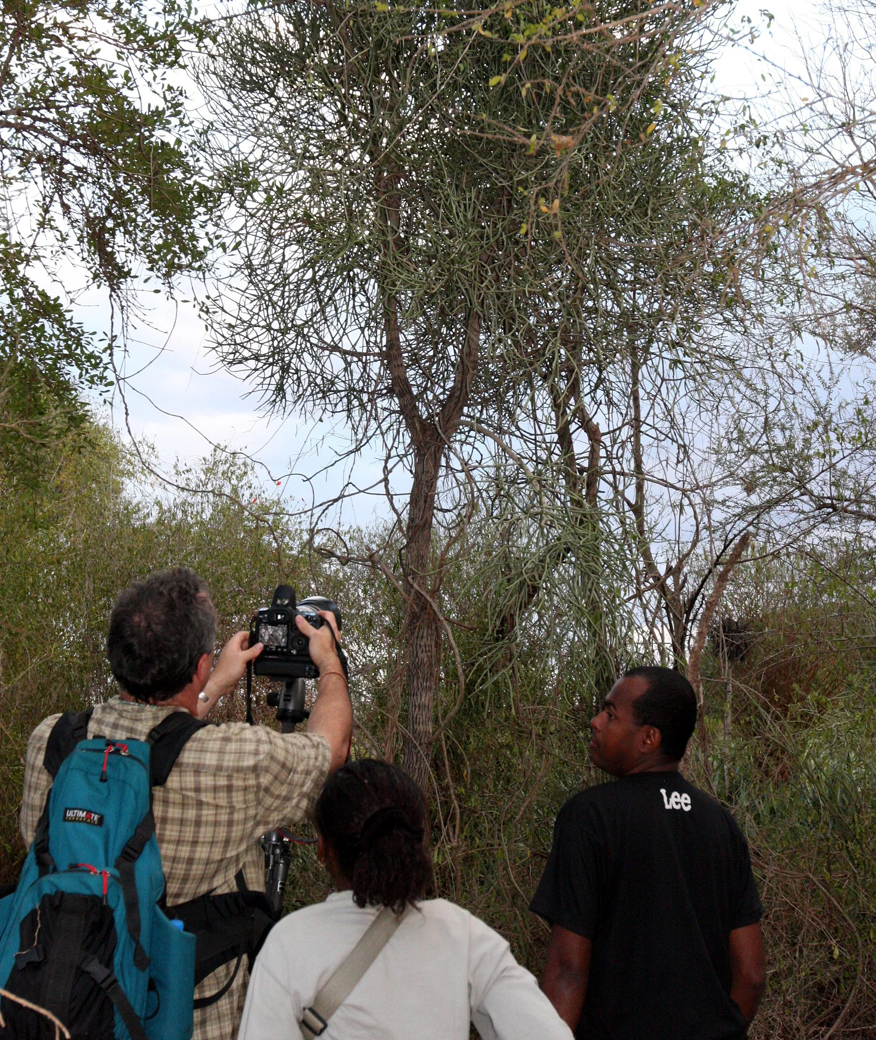 BERENTY RESERVE MADAGASCAR - PHOTOGRAPHING IN THE SPINY FOREST (3).JPG