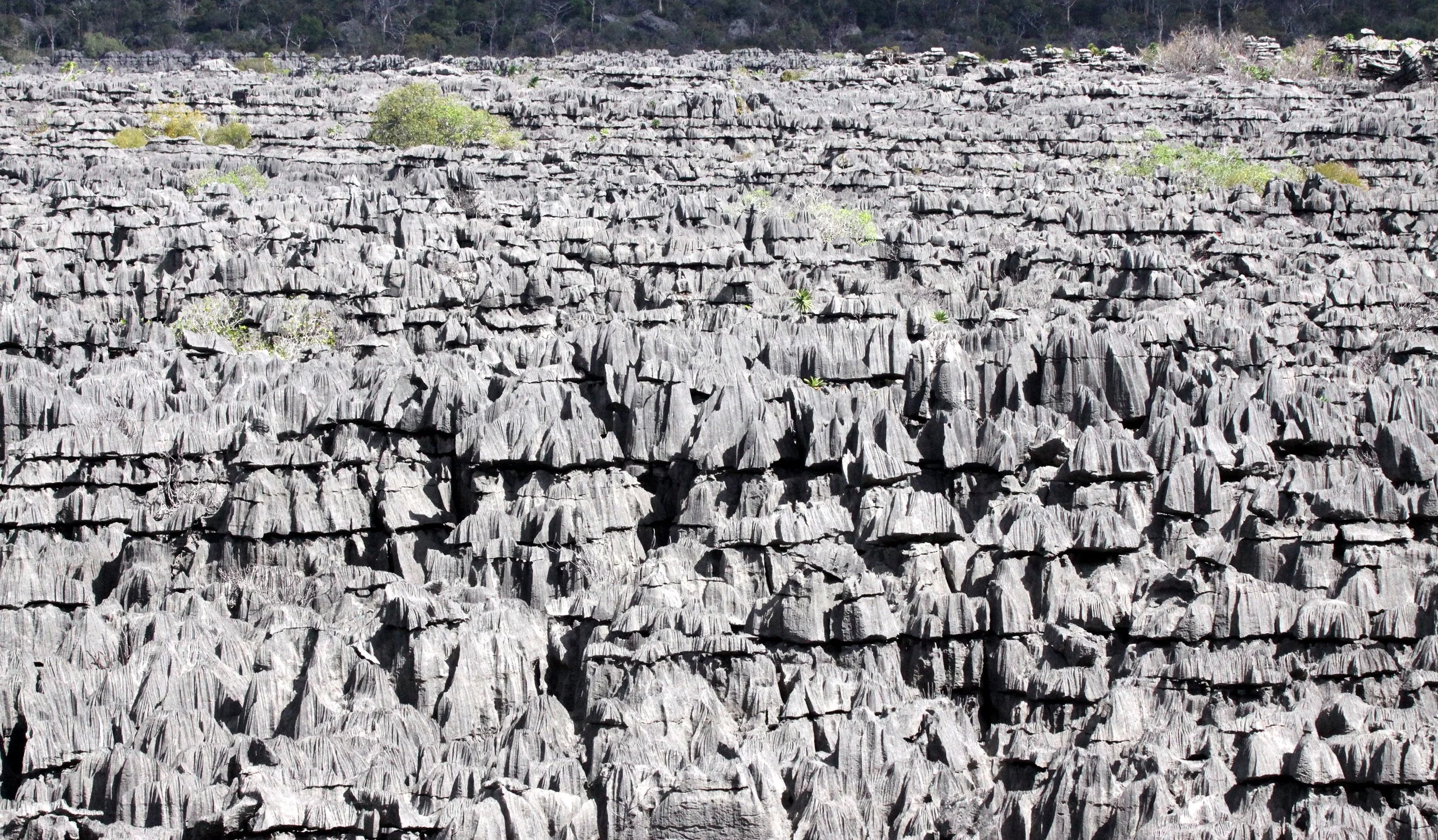 ANKARANA NATIONAL PARK MADAGASCAR - TSINGY FOREST (17).JPG