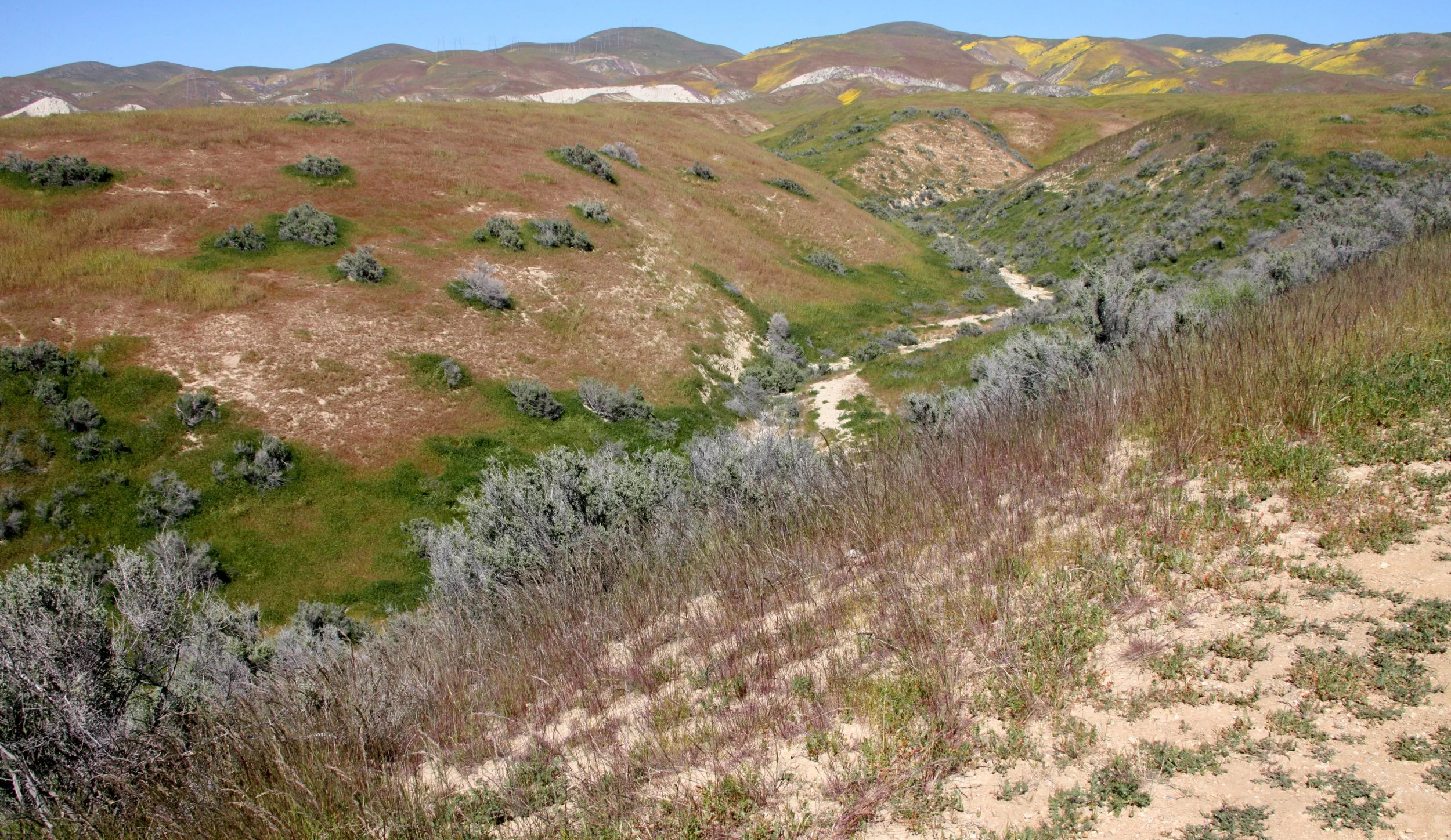 CARRIZO PLAIN NATIONAL MONUMENT CALIFORNIA - WALLACE CREEK SAN ANDREAS FAULT OVERLOOK.JPG