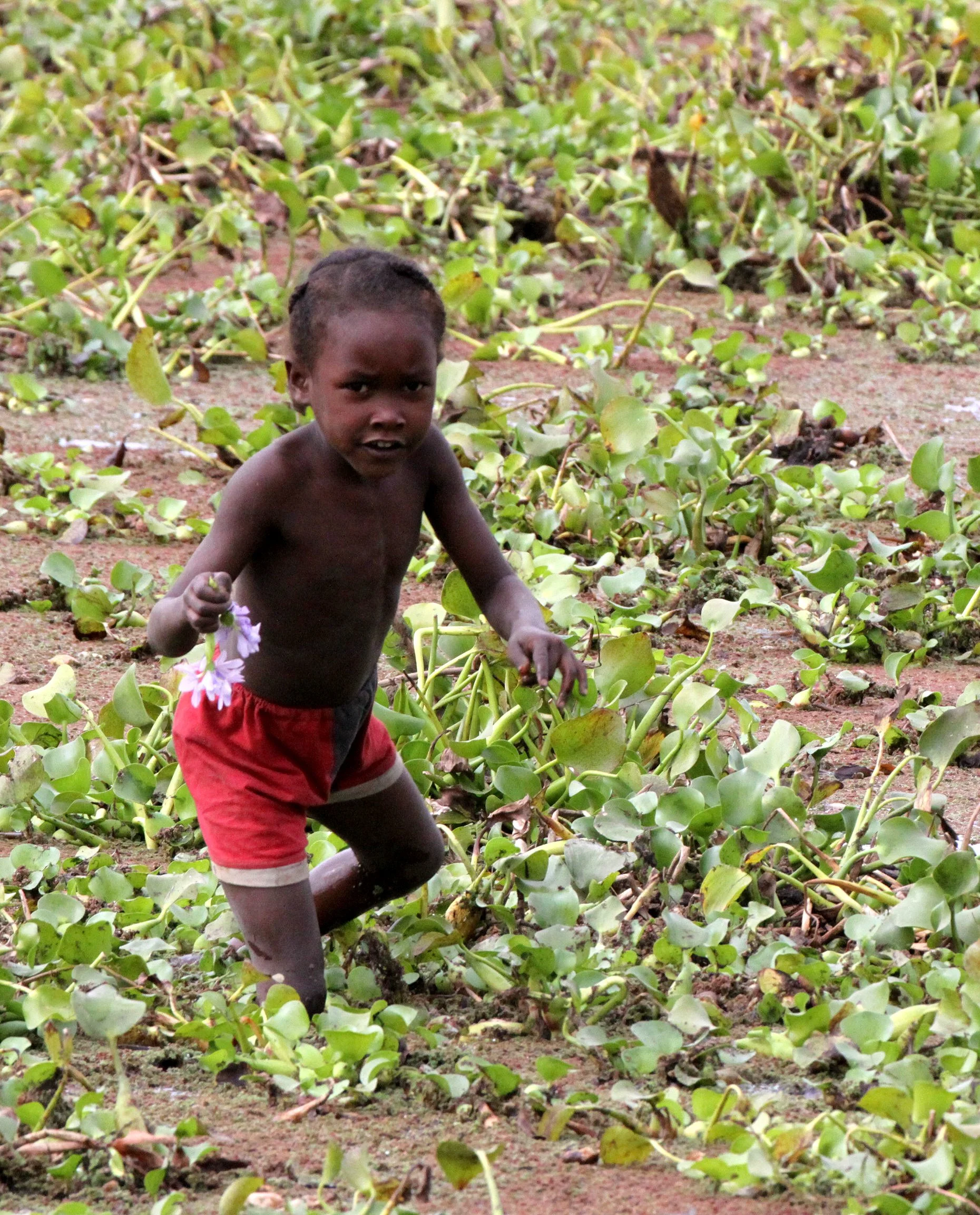 MORONDAVA MADAGASCAR - AVENUE DU BAOBABS - VILLAGERS.JPG