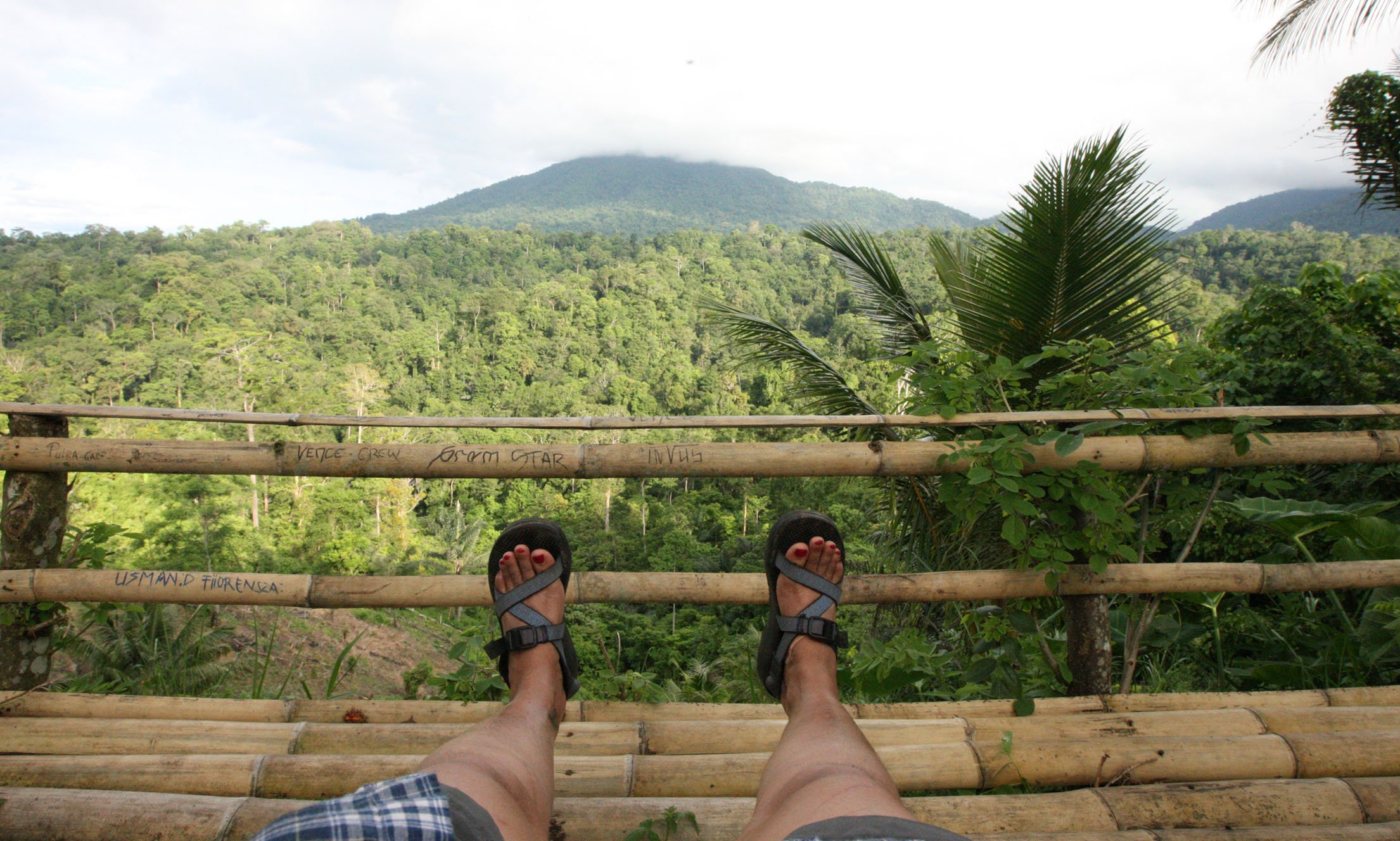 TANGKOKO LODGE - TANGKOKO NATIONAL PARK INDONESIA (31).JPG
