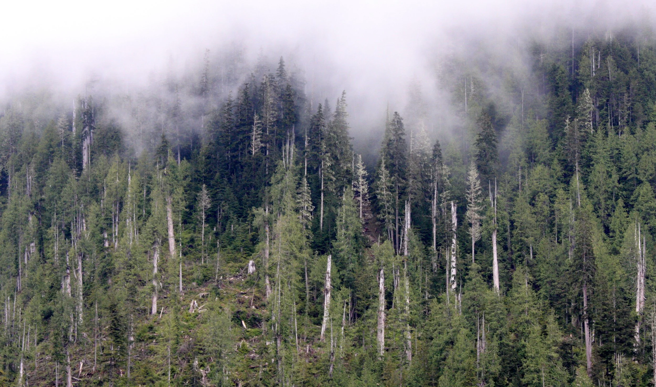 KNIGHT'S INLET BRITISH COLUMBIA (31).JPG
