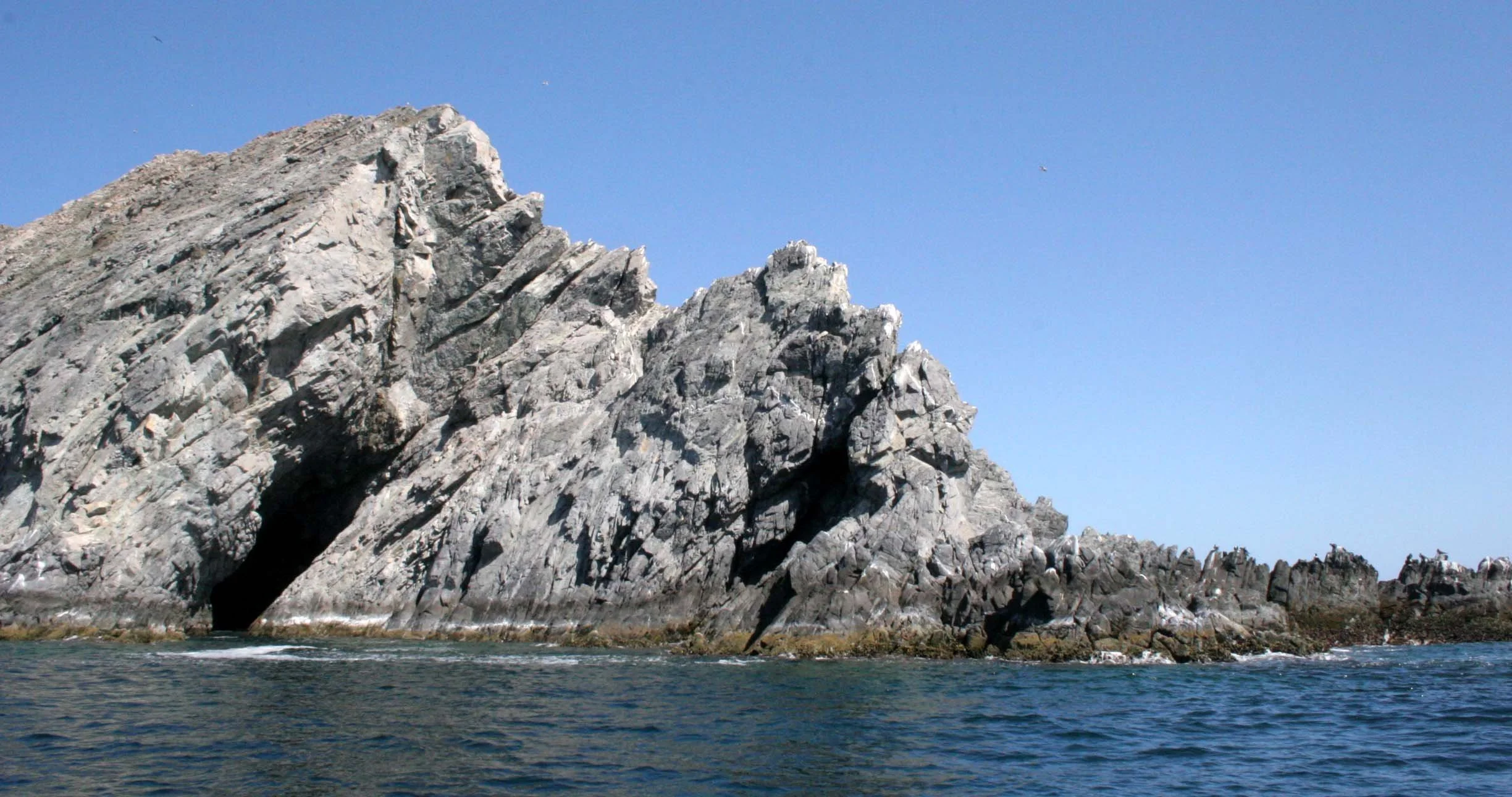 ISLA SANTA CATALINA - SHORELINE LANDSCAPES (5).JPG