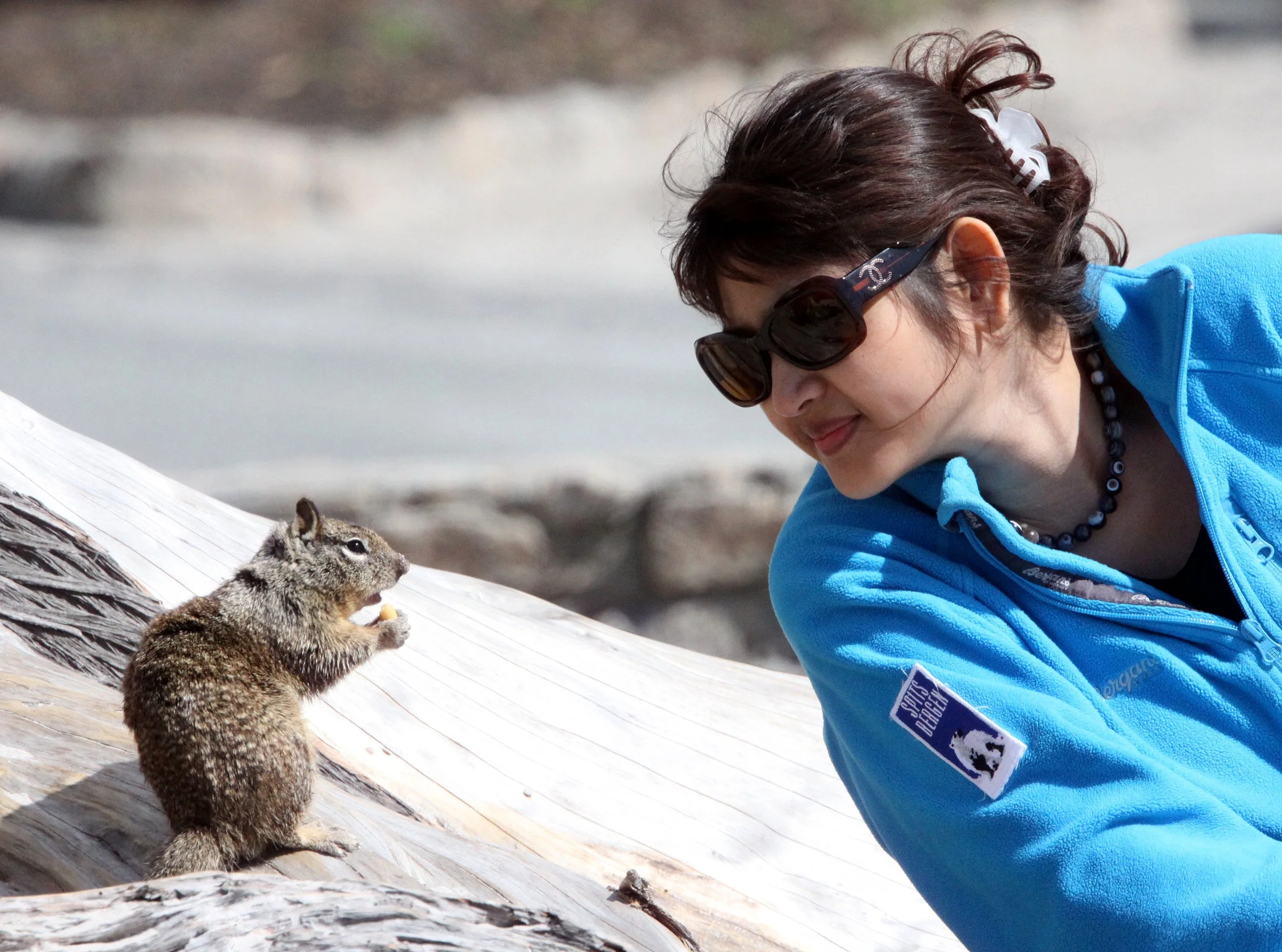 2010-4-1 CARMEL  - ROADTRIP 2010 (5).JPG