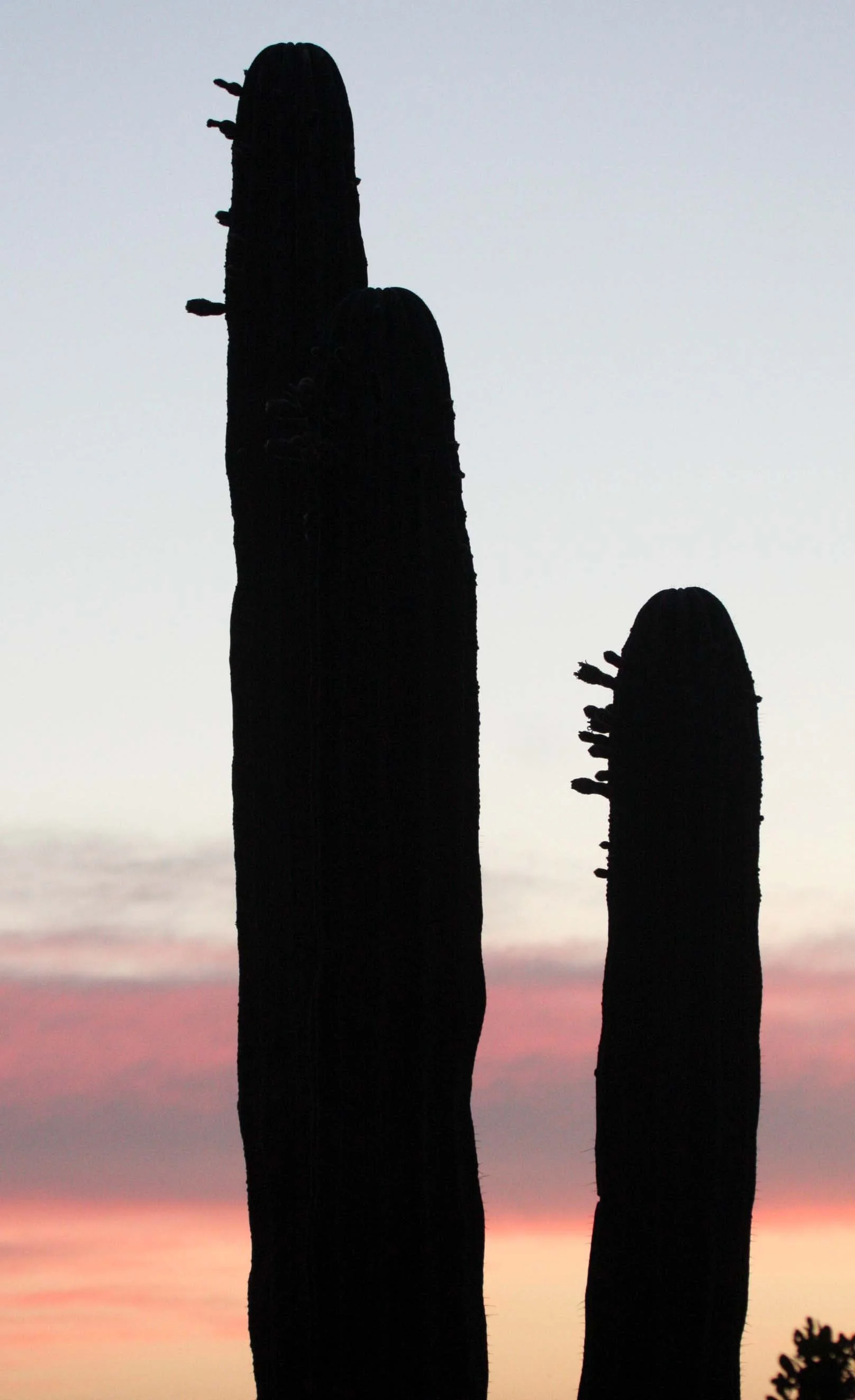 ISLA SANTA CATALINA BAJA MEXIO - SUNSET LANDSCAPES (34).JPG