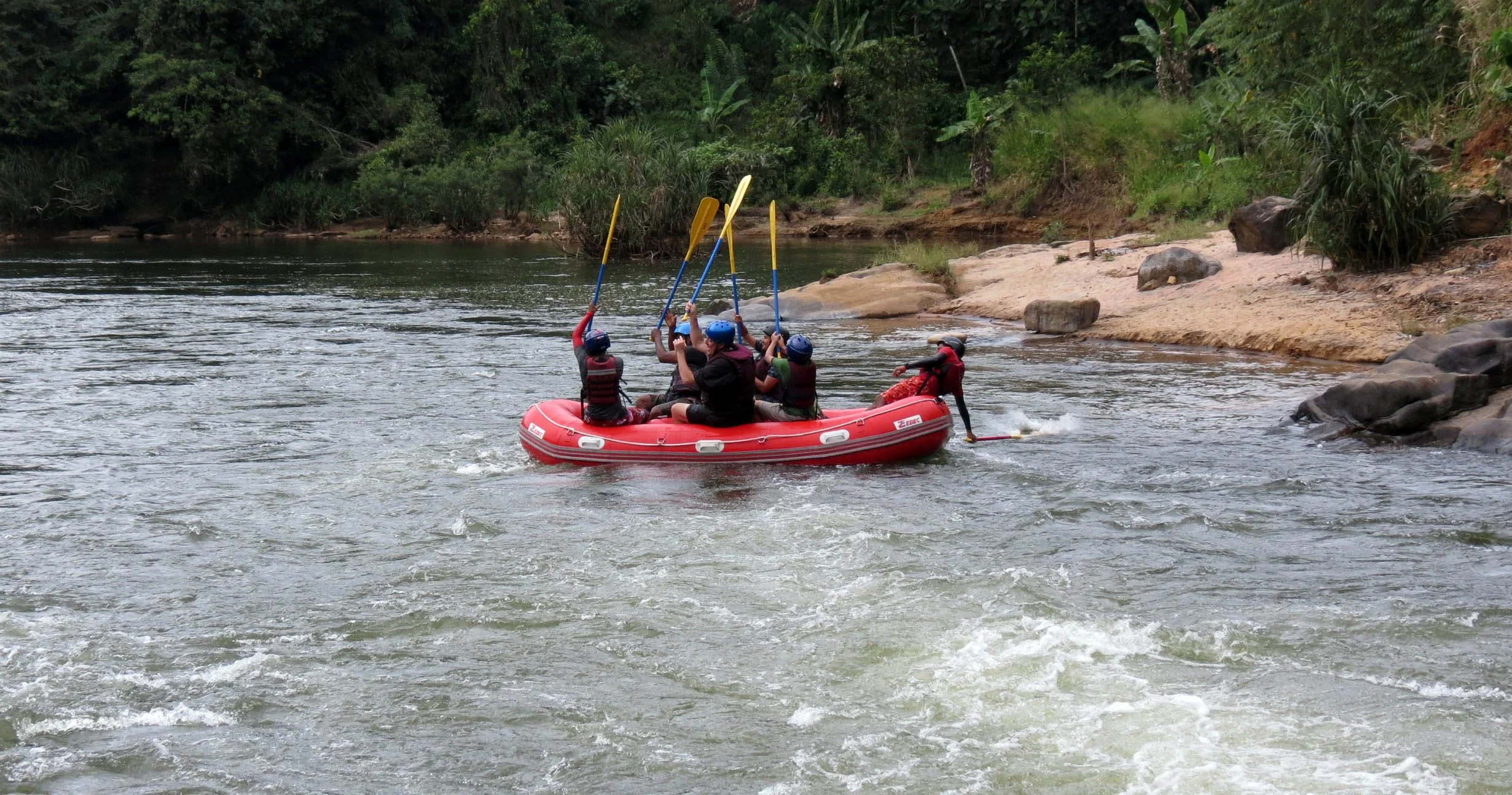 KITULGALA FOREST PRESERVE SRI LANKA (84).JPG