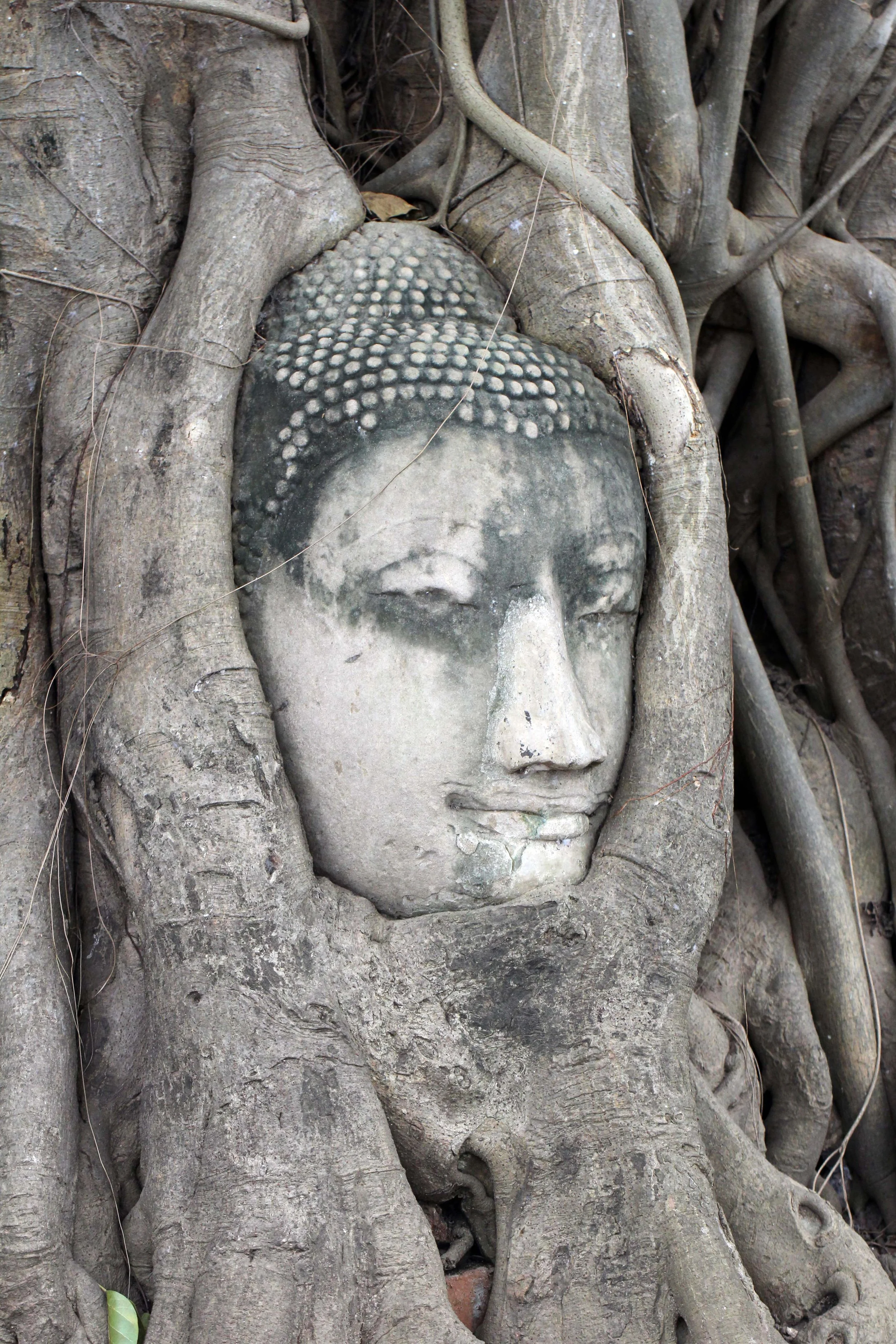 AYUTTHAYA - PASSION DAY - SOM (271).JPG
