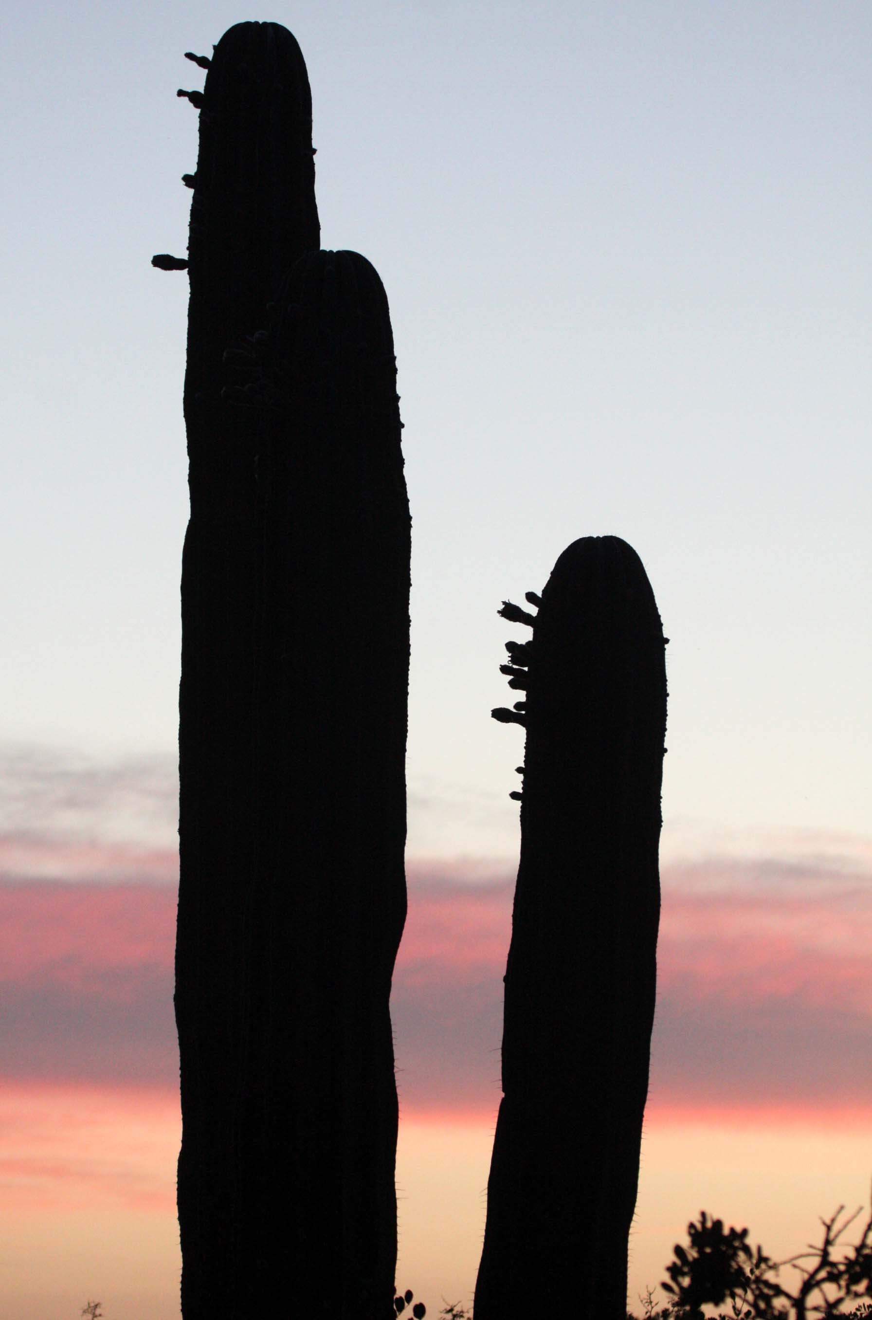 ISLA SANTA CATALINA BAJA MEXIO - SUNSET LANDSCAPES (33).JPG