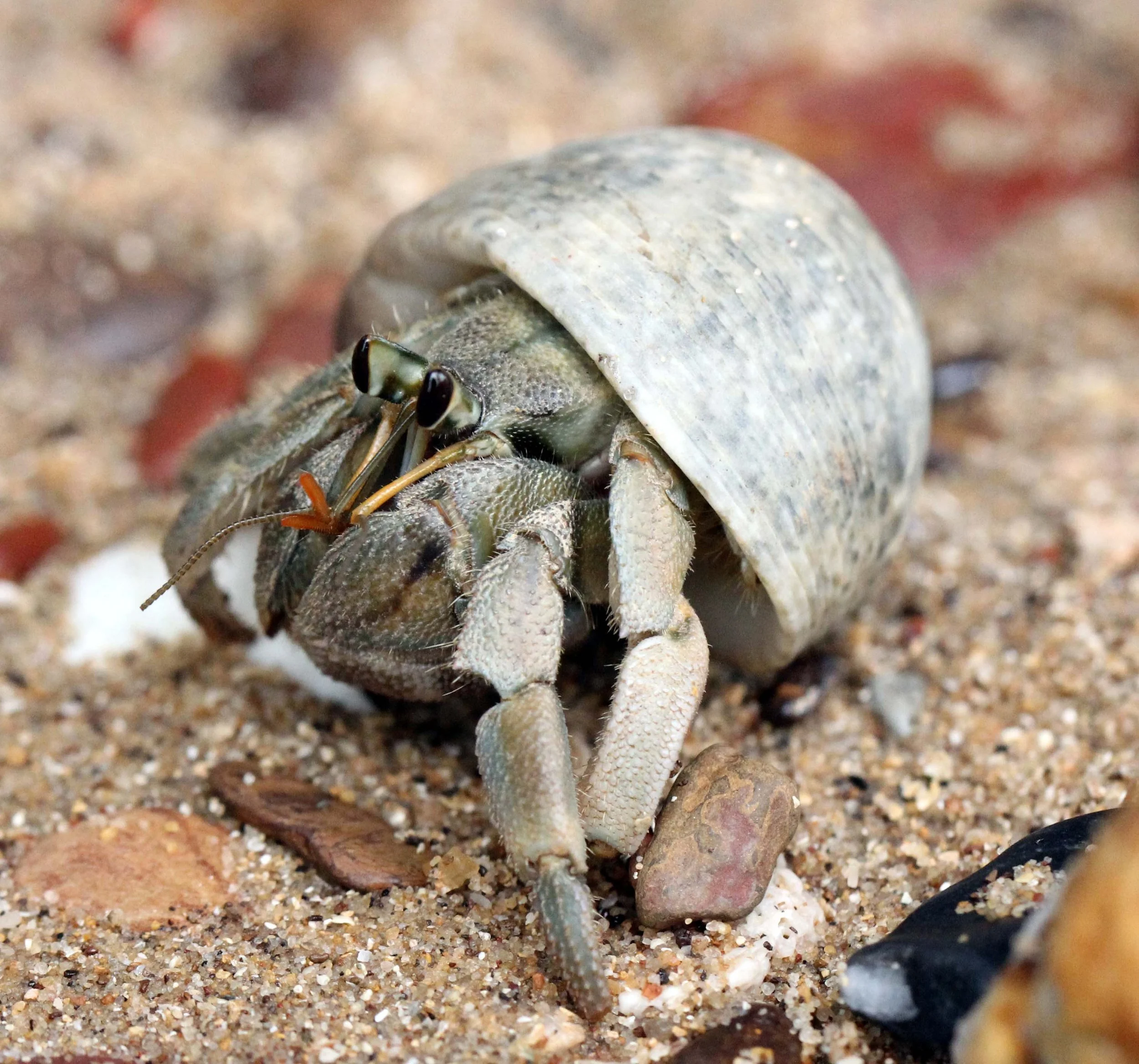 2013 KOH LANTA - OCTOBER BREAK 2013 (264).JPG