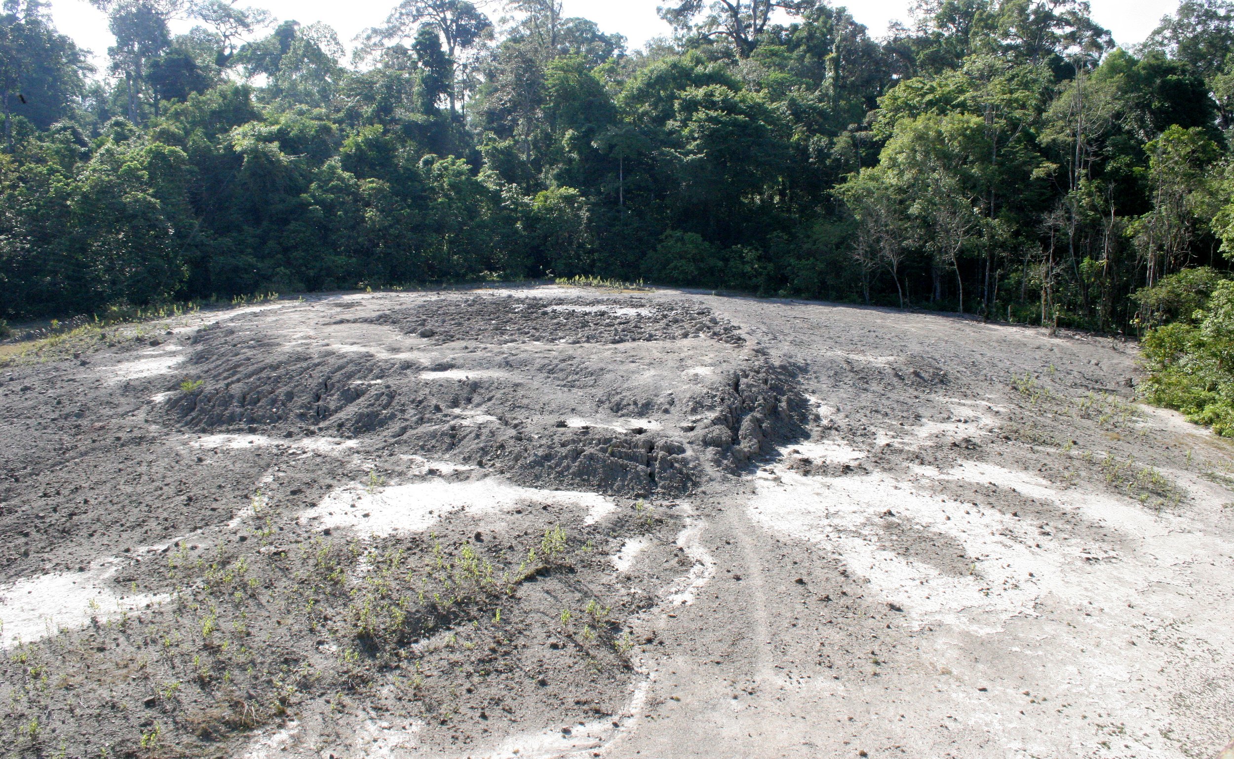 TABIN WILDLIFE RESERVE BORNEO - MUD VOLCANOES (3).JPG
