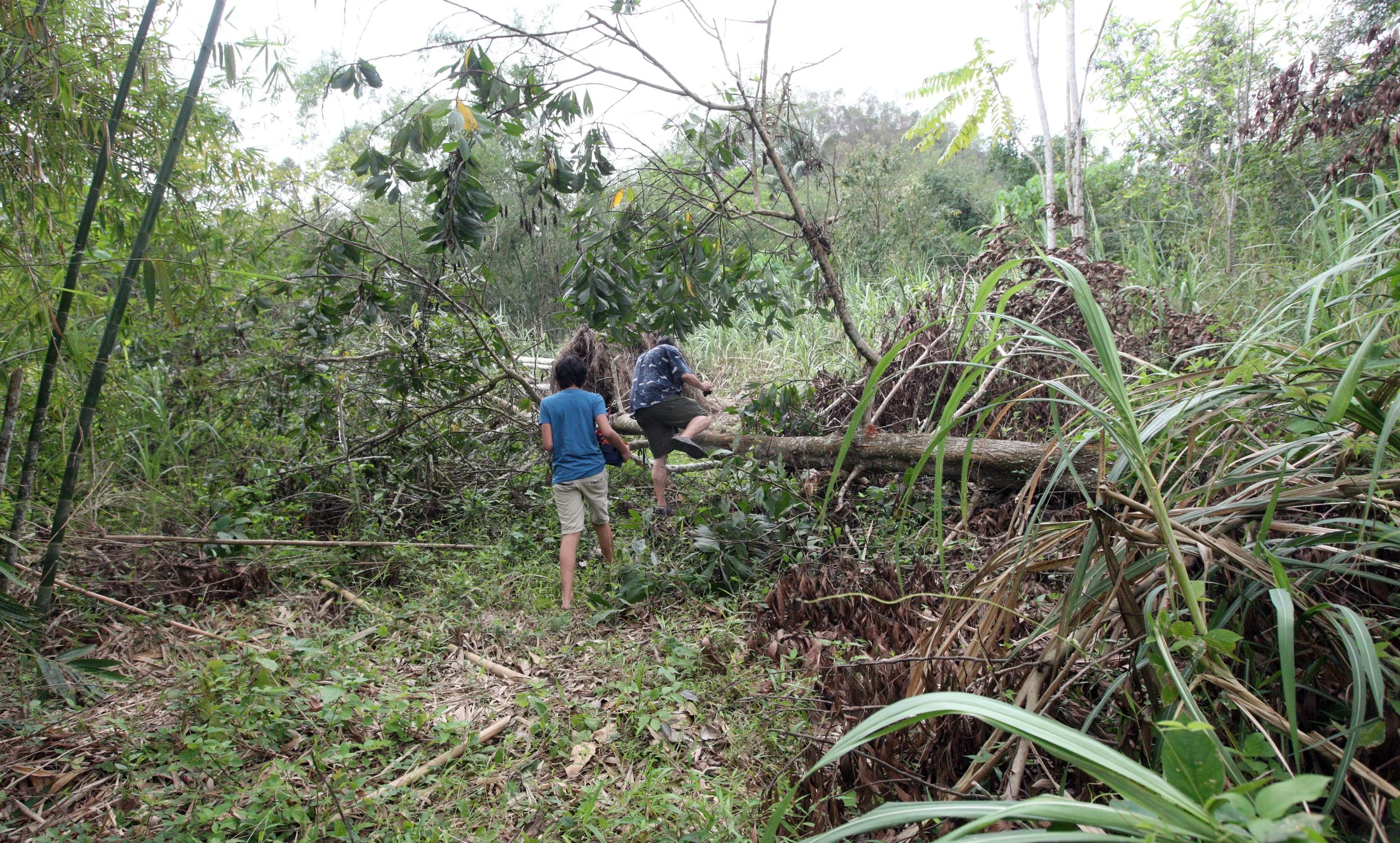 2014 Nakhonsithammarat with Family (18).JPG