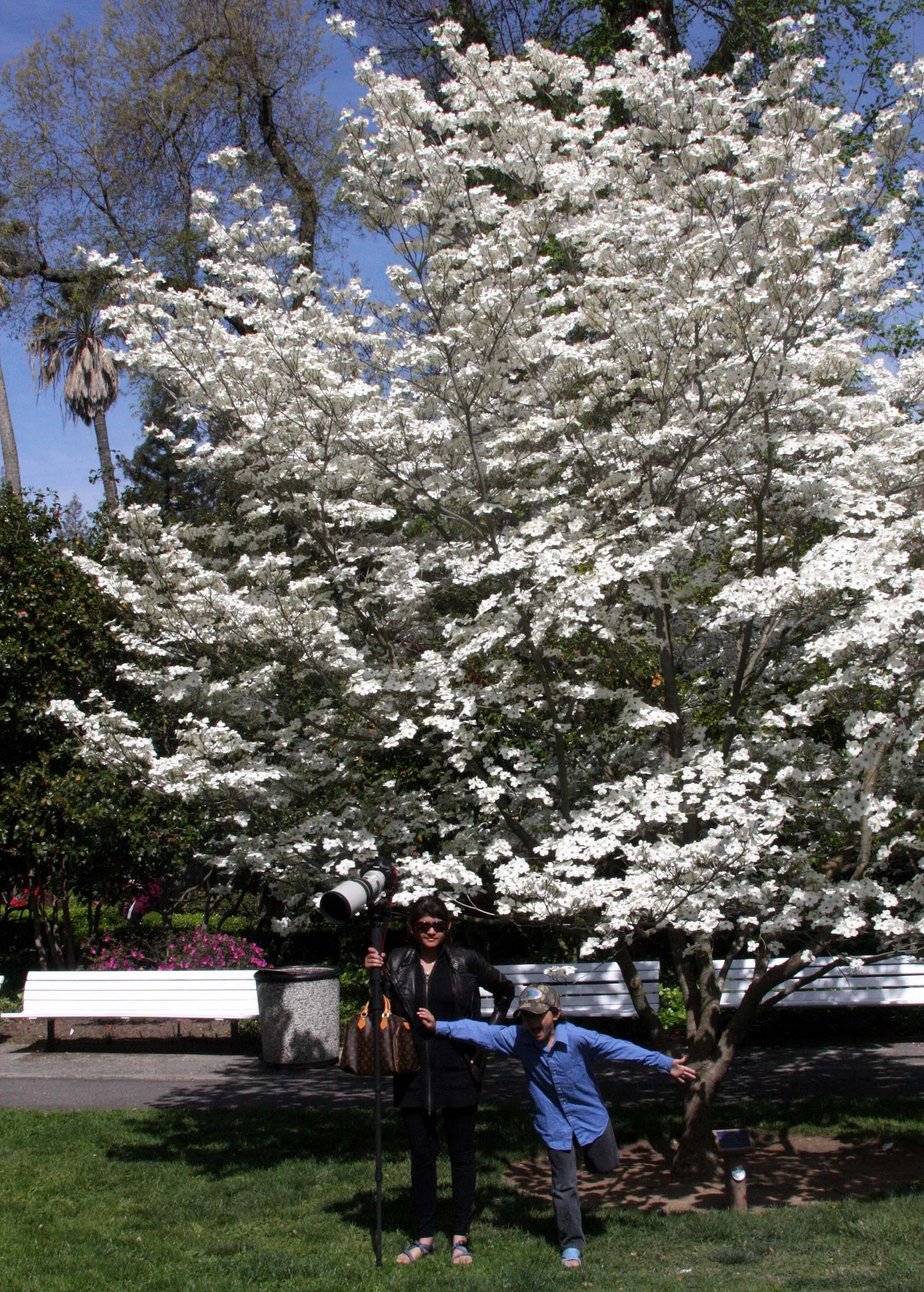 2010-4-9 SACRAMENTO CALIFORNIA - CAPITAL BUILDING (5).JPG