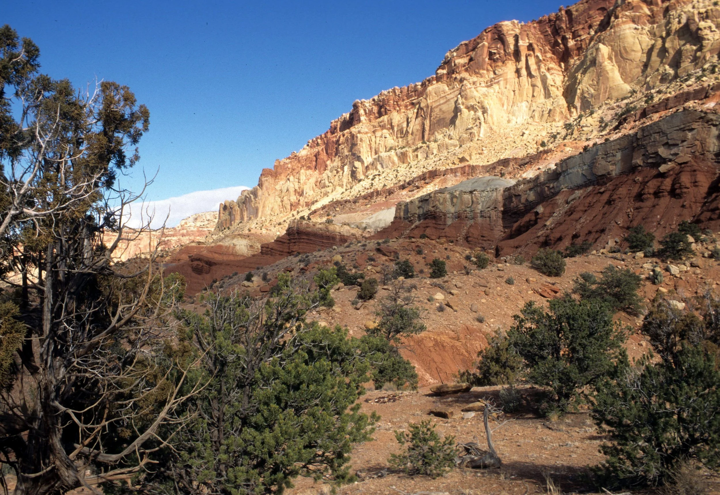 UTAH - CAPITOL REEF NP D.jpg