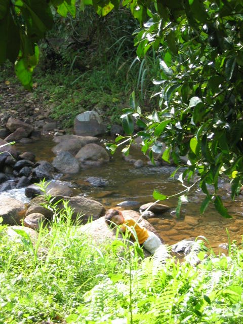 2005 Promluk Early Days (132).jpg