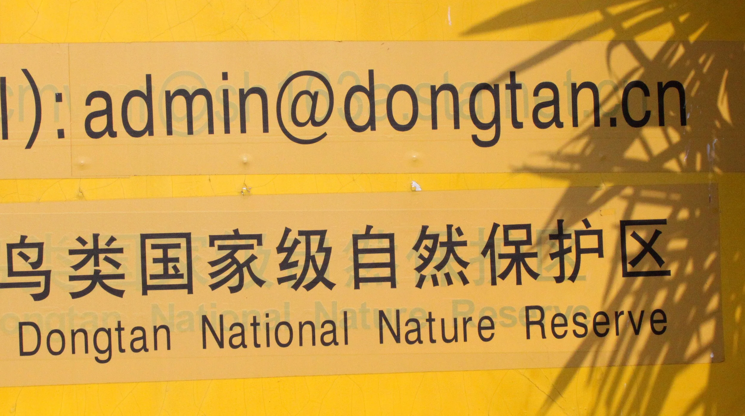 CHONGMING ISLAND - DONGTAN WETLANDS RESERVE - CHINA (7).JPG