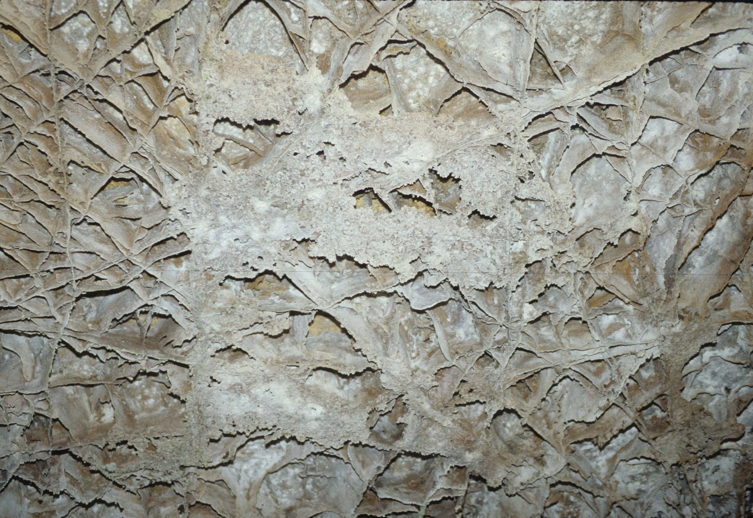 GREAT PLAINS - CAVE OF THE WINDS H.jpg