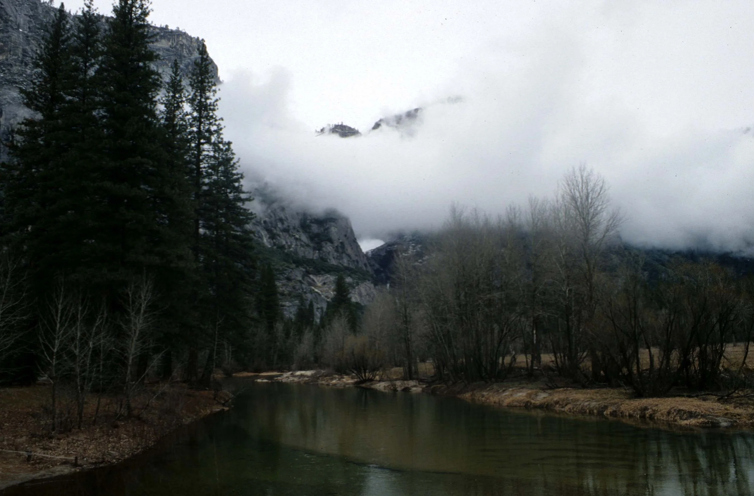 CALIFORNIA - YOSEMITE NATIONAL PARK (3).jpg