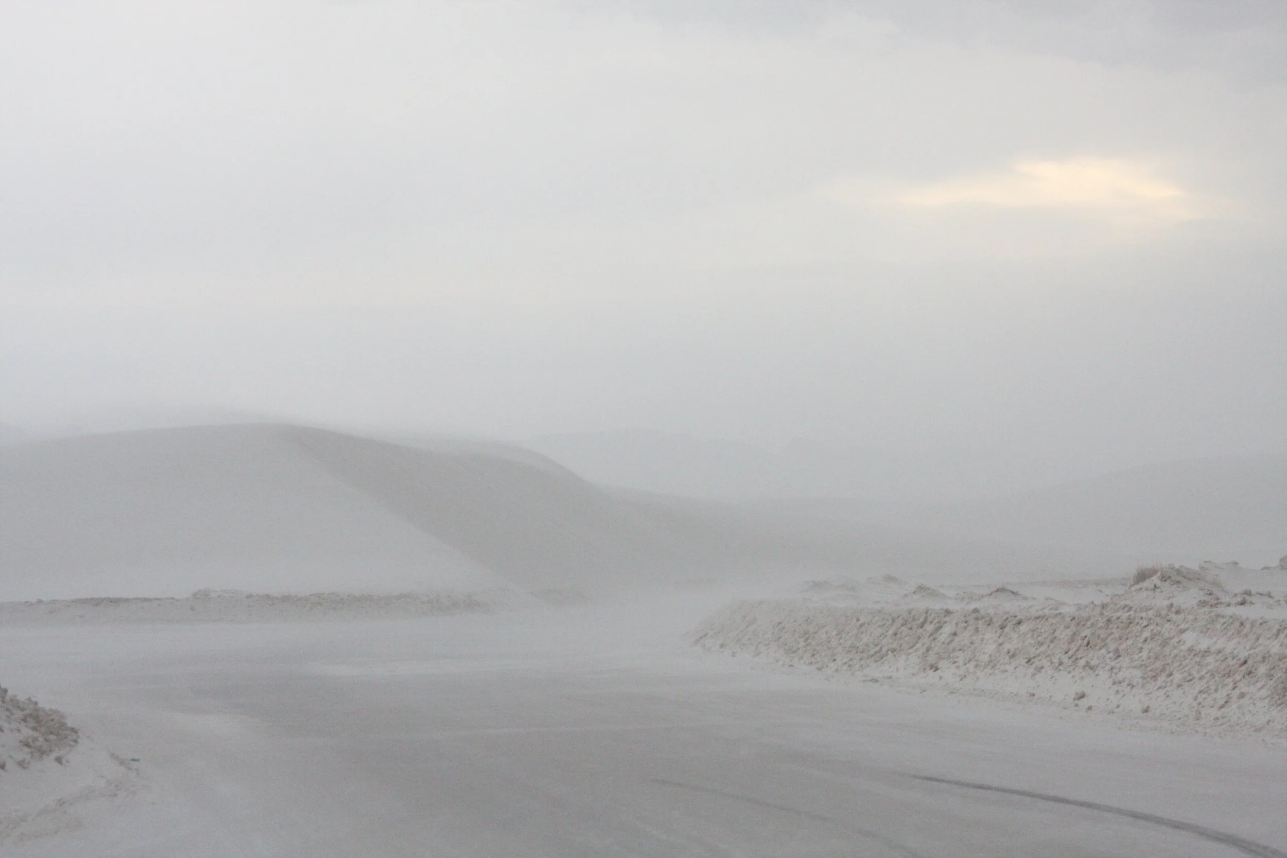 WHITE SANDS NATIONAL MONUMENT - JUNE 2010 (28).JPG