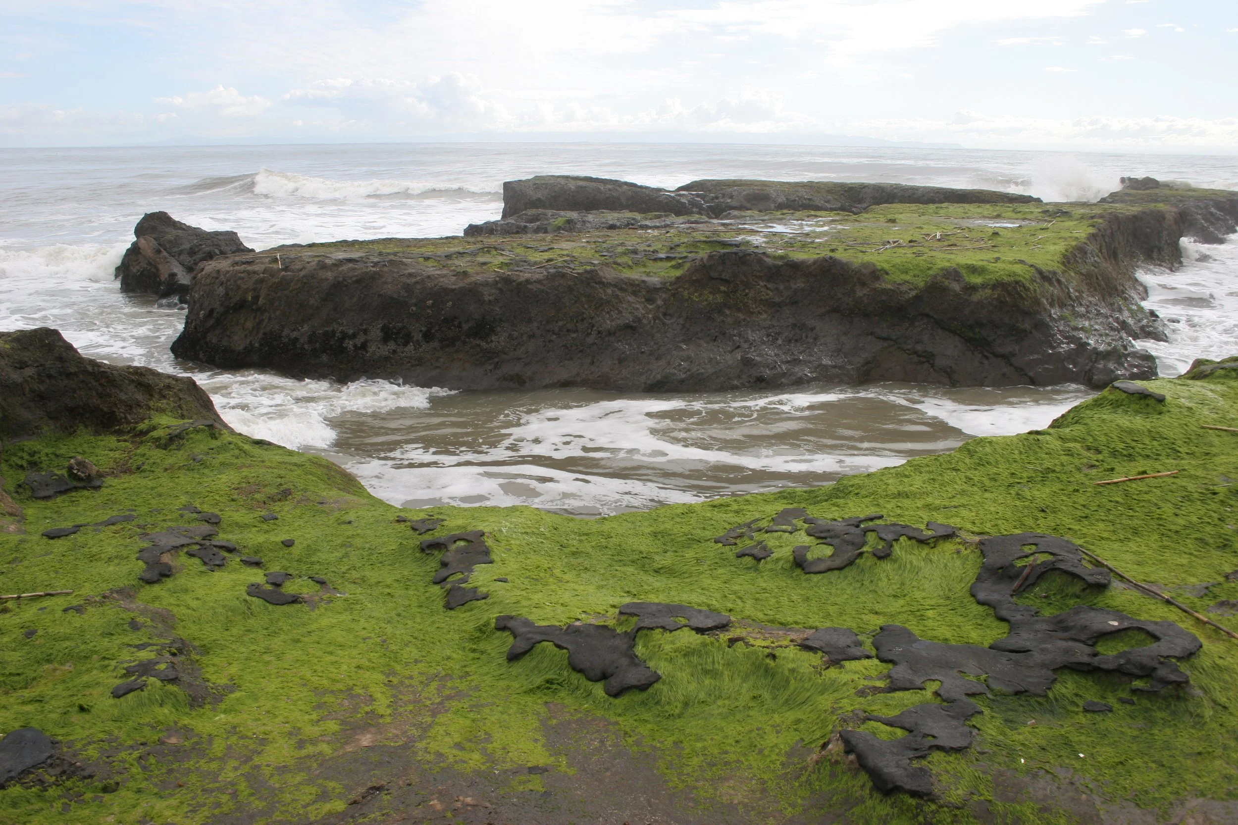 CALIFORNIA - SANTA BARBARA - Rocky Intertidal Monitoring 3.jpg
