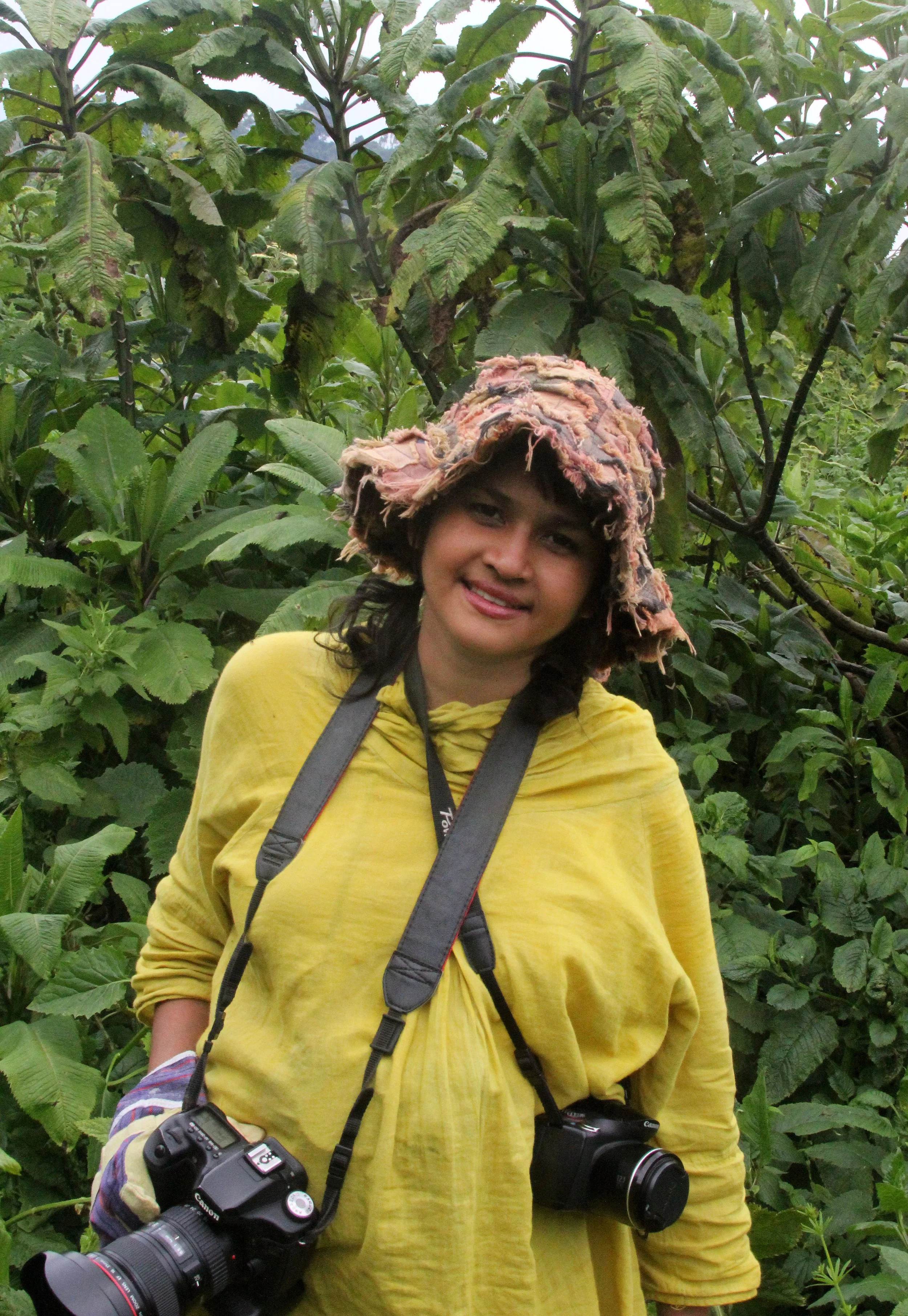 PARC DU VULCANS RWANDA 2012 (586).JPG