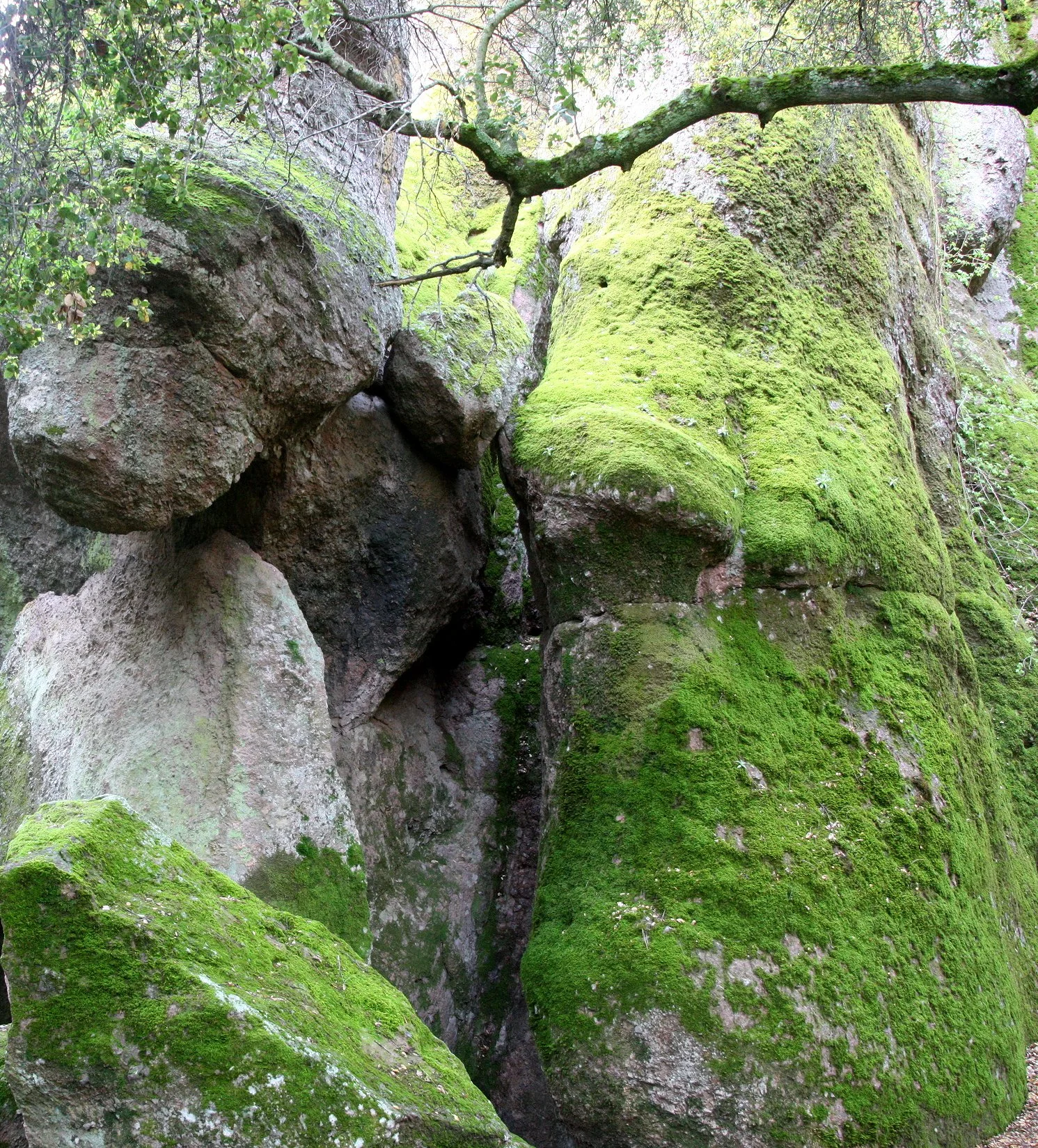 PINNACLES NATIONAL MONUMENT CALIFORNIA - VIEWS OF THE REGION (8).JPG