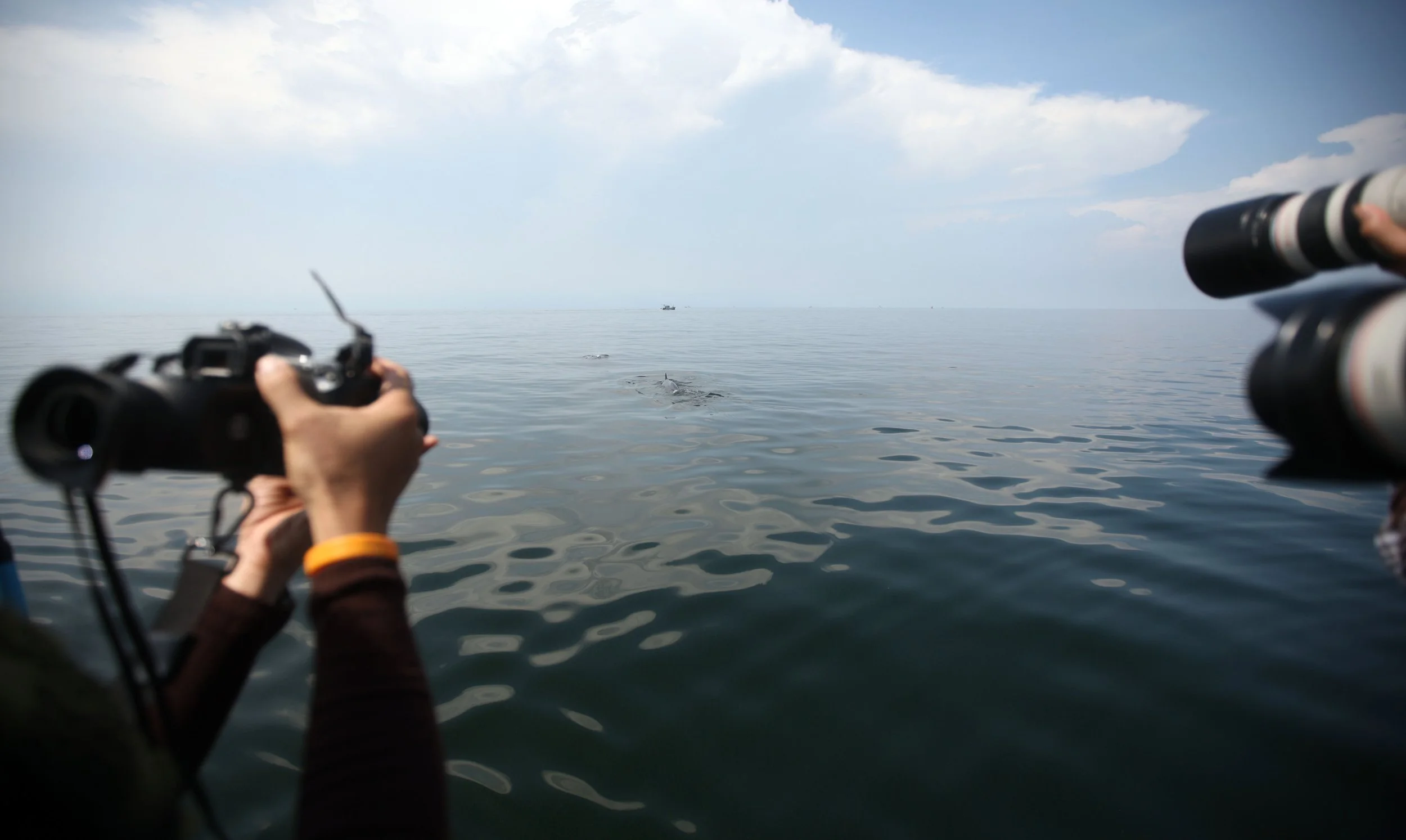 2014 Amphawa Trip to See Whales from Baan Taboon (63).JPG
