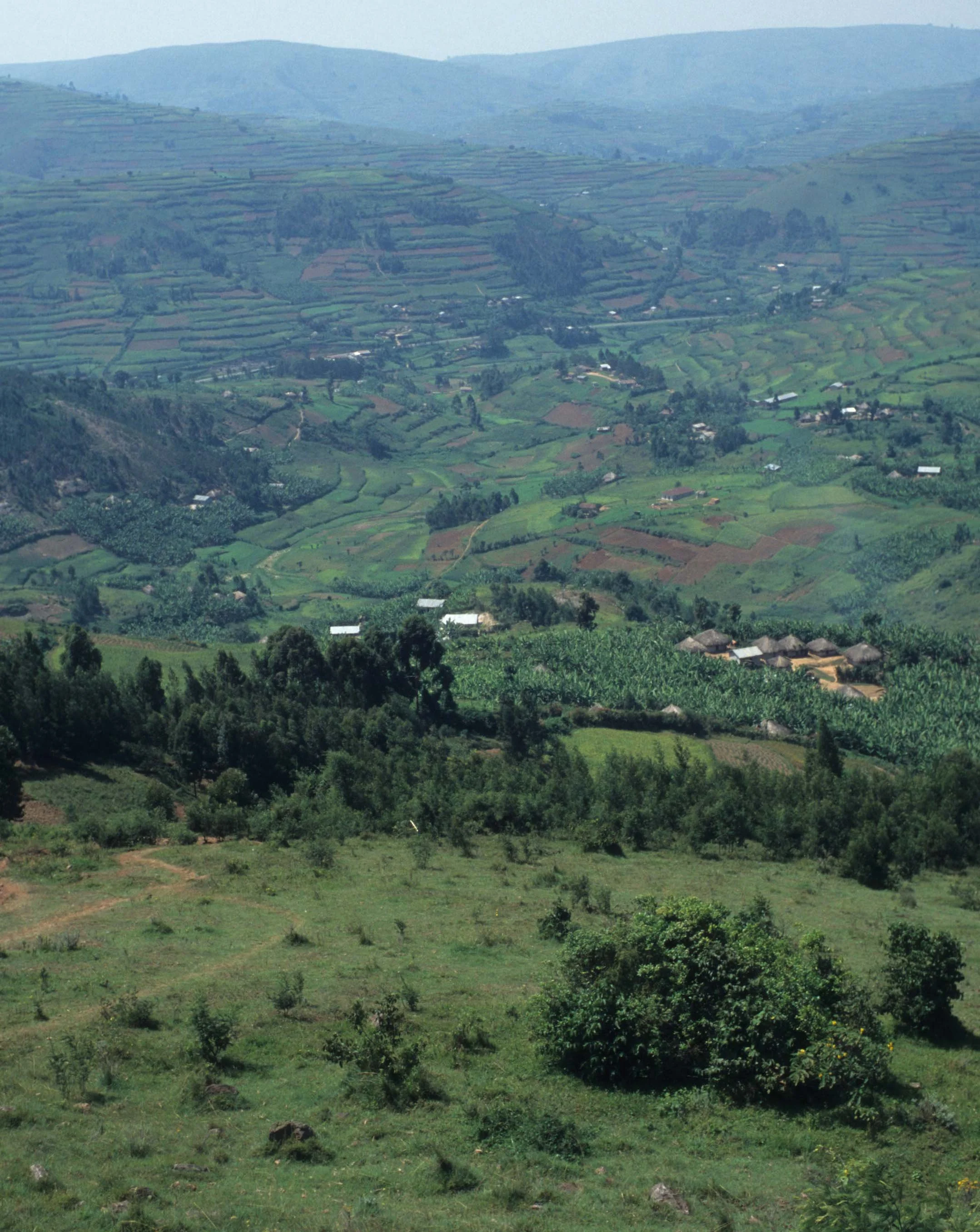 RWANDA COUNTRYSIDE 2.jpg