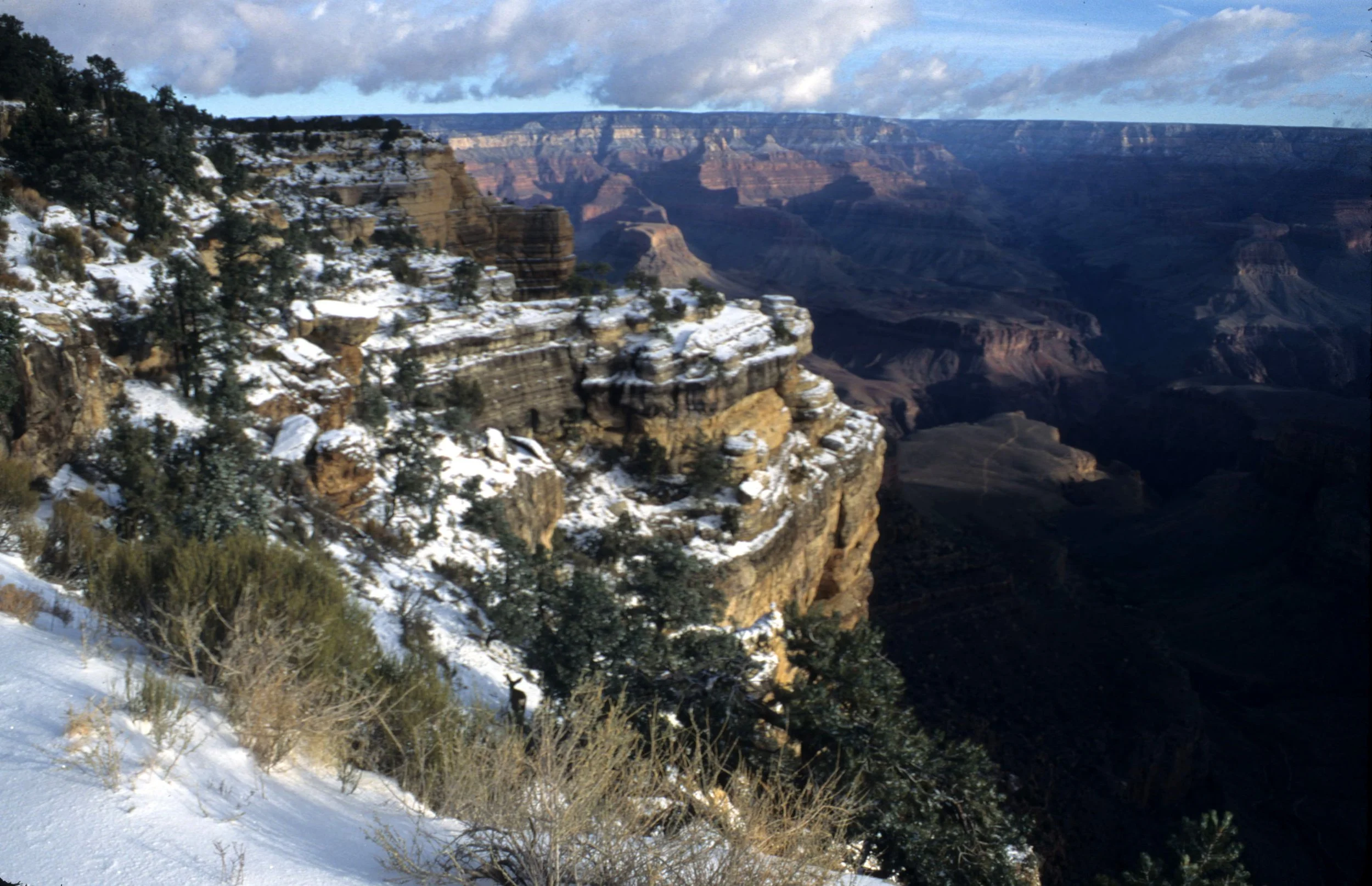 ARIZONA - GRAND CANYON NATIONAL PK (10).jpg