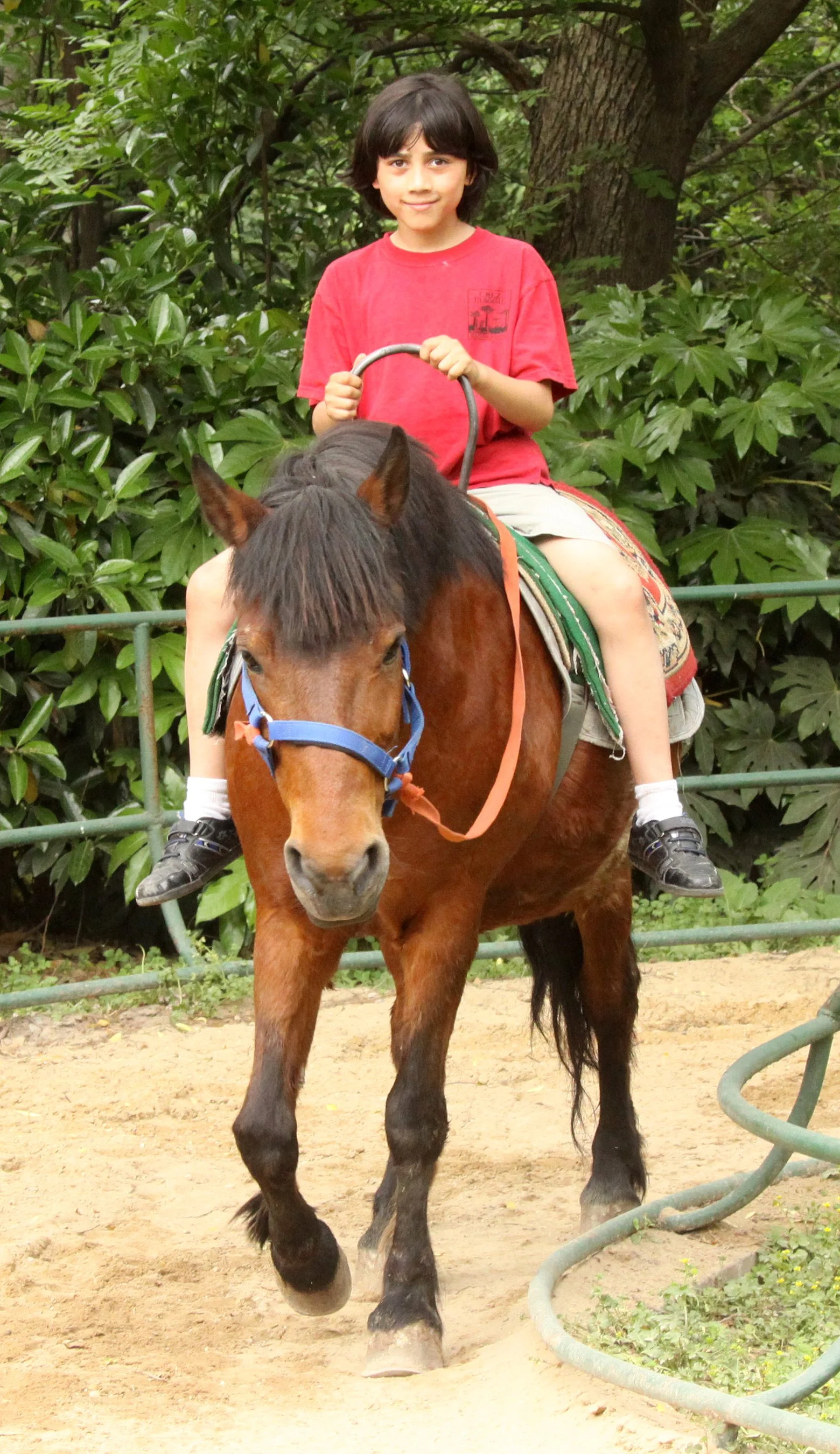 2011-5-6 SHANGHAI ZOO (3).JPG