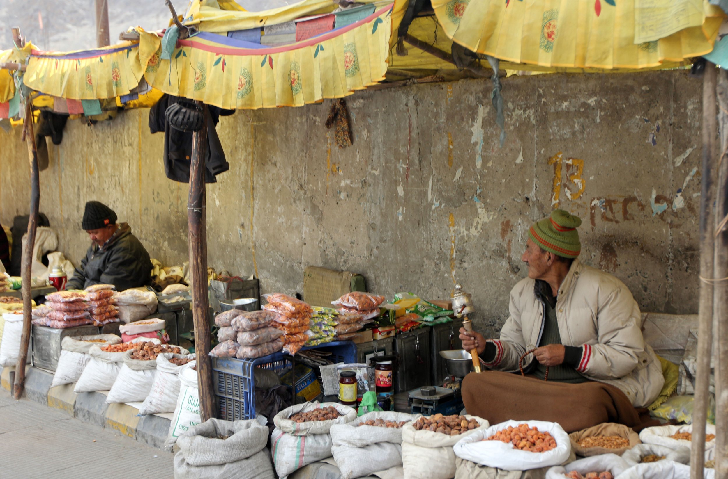 LEH, LADAKH INDIA - SNOW LEOPARD EXPEDITION (15).JPG