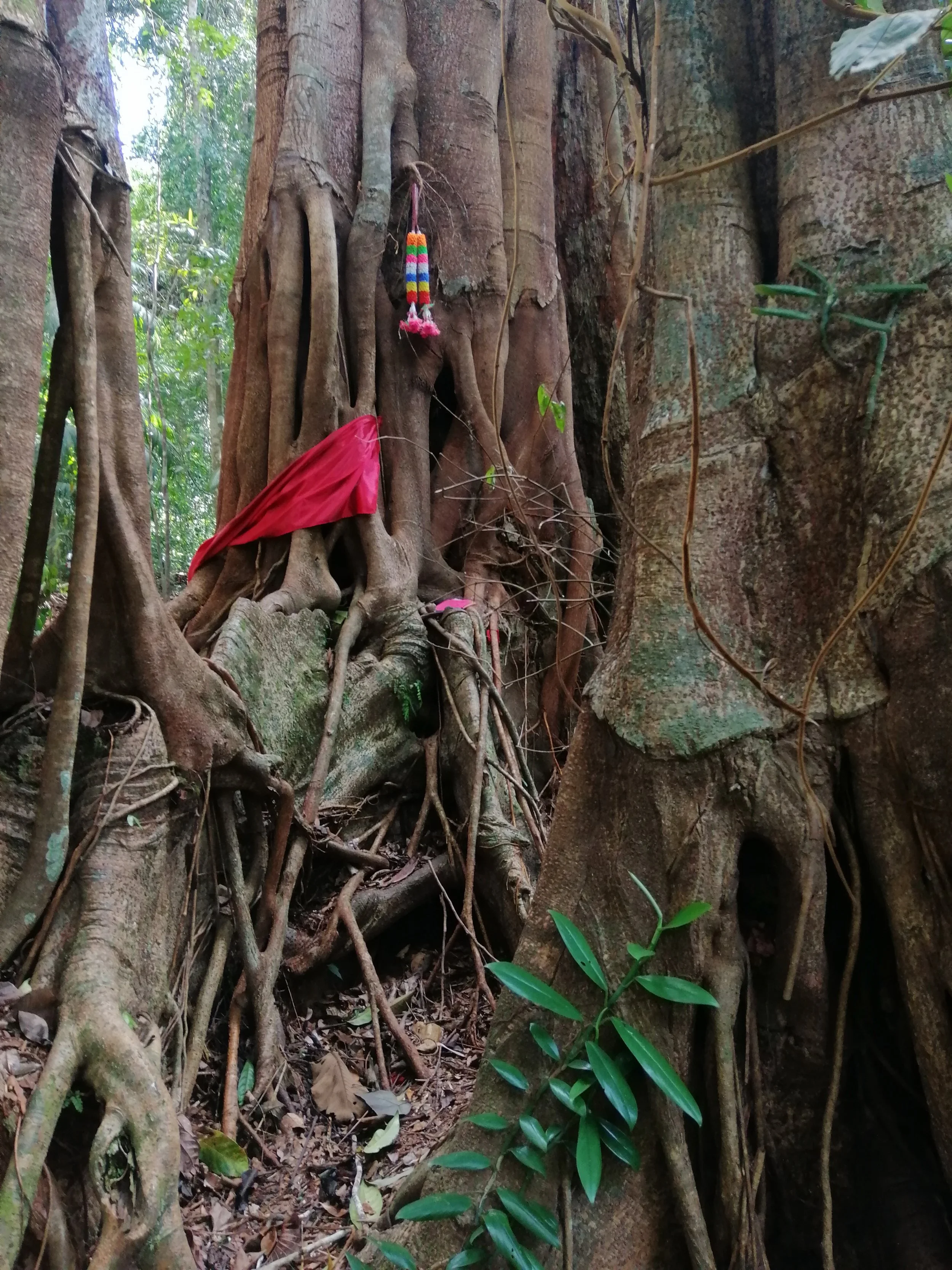 2019 Koh Kood Road Trip (55).jpg