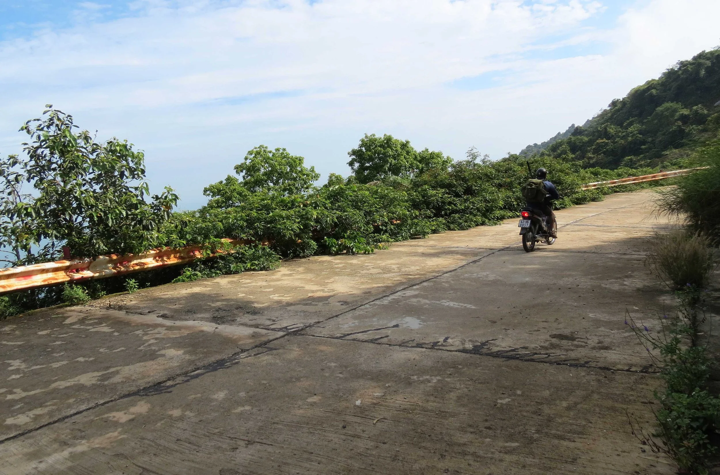 SON TRA PENINSULA - COKIE'S IMAGES (32).JPG