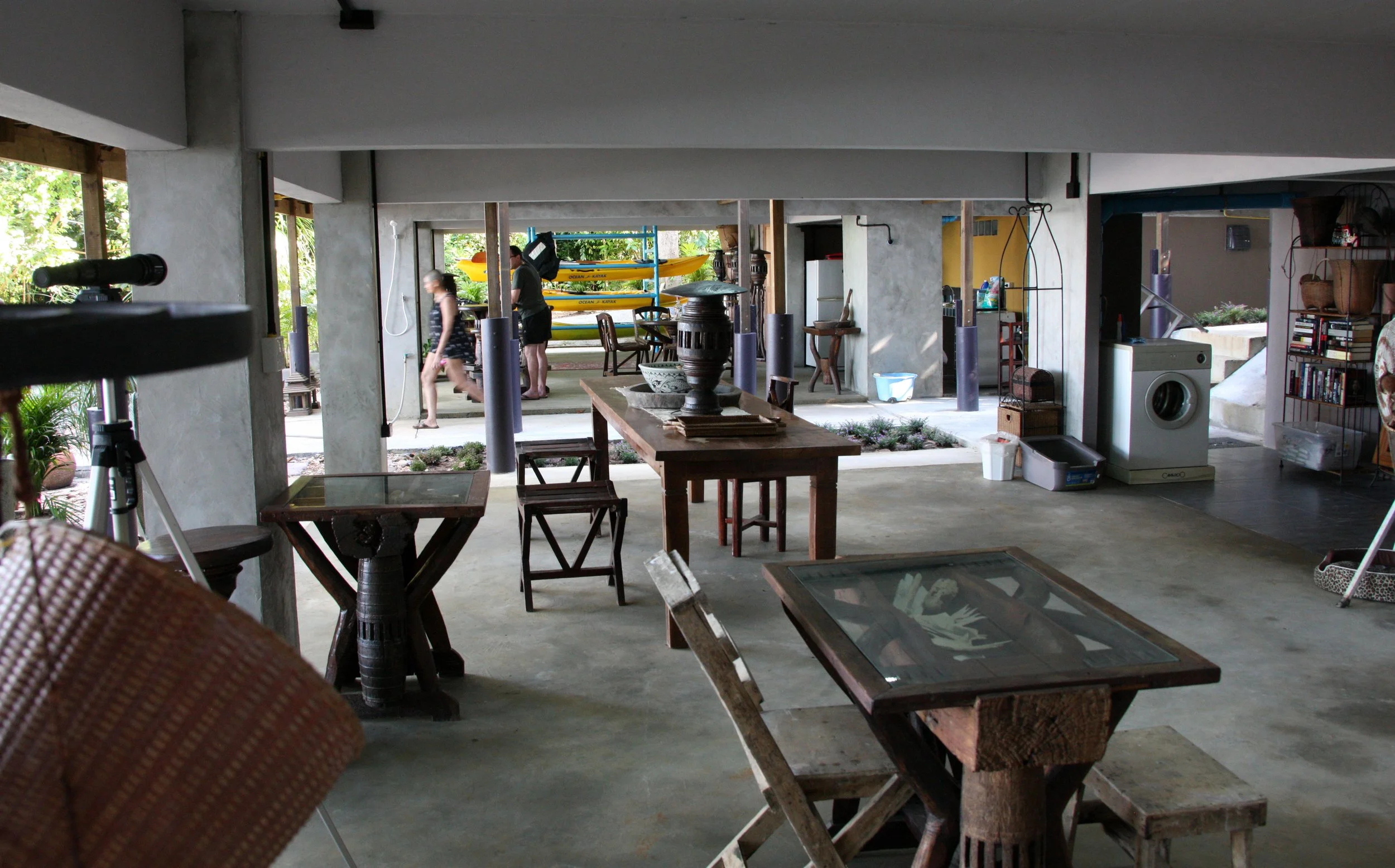 2016 Koh Lanta TheOtherSideVillas - Langur (8).JPG