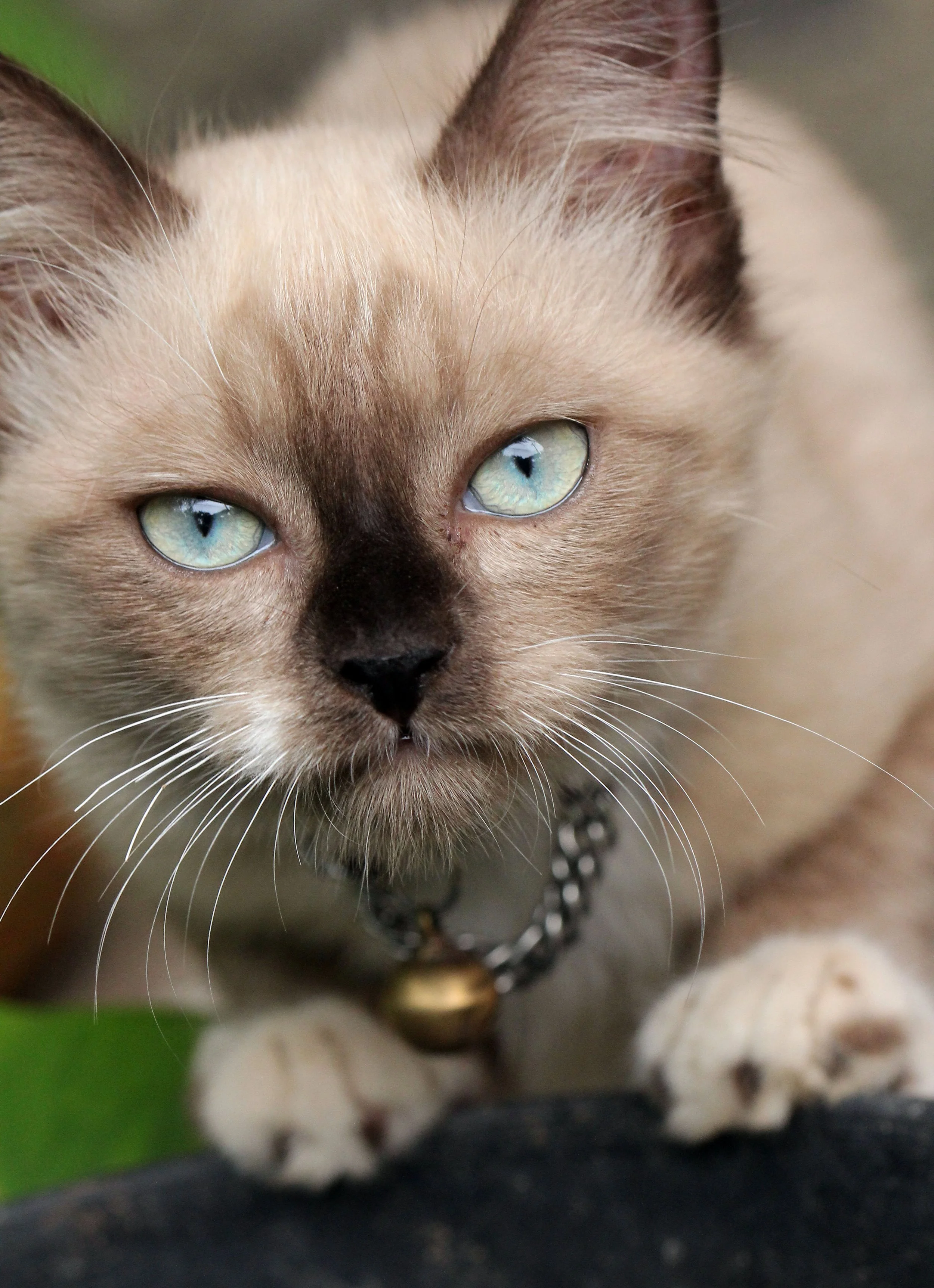 2015 Koh Lanta October Break Trip  (177).JPG