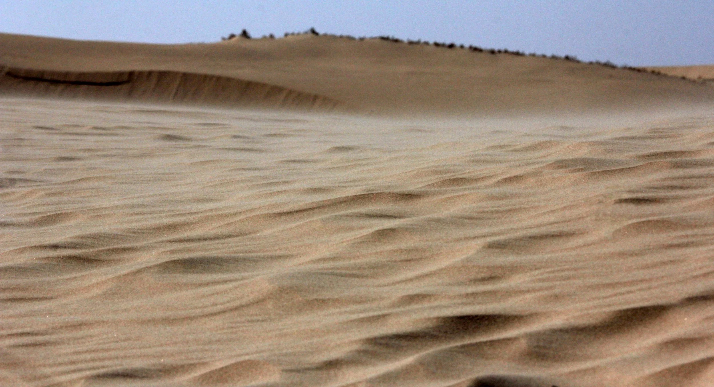 INNER MONGOLIA 2013 (873).JPG