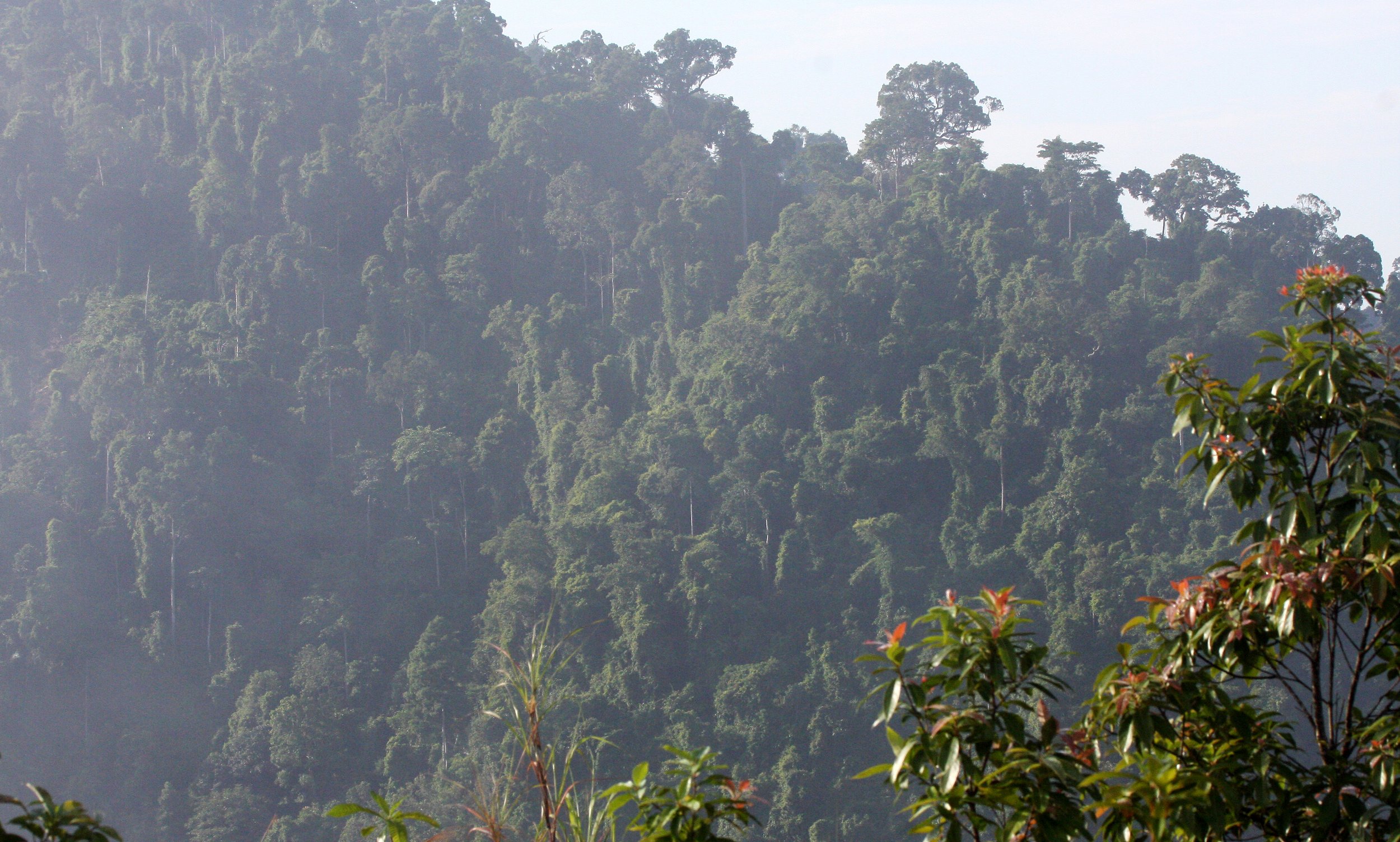 KRUNG CHIN NP - THALE MOG VIEW POINT THAILAND.JPG