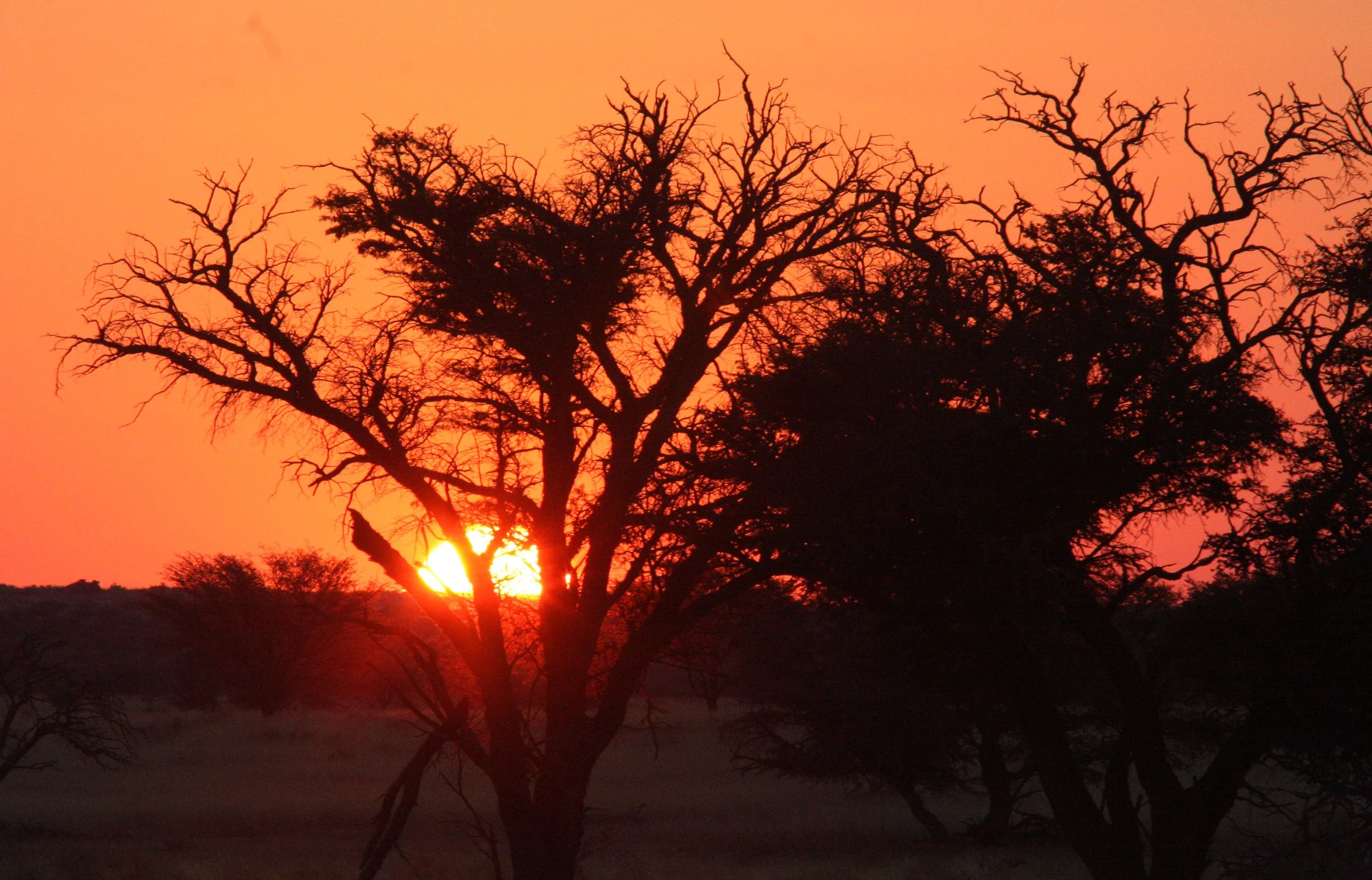 KALAHARI GEMSBOK NP - SUNSET ON THE KALAHARI (6).JPG