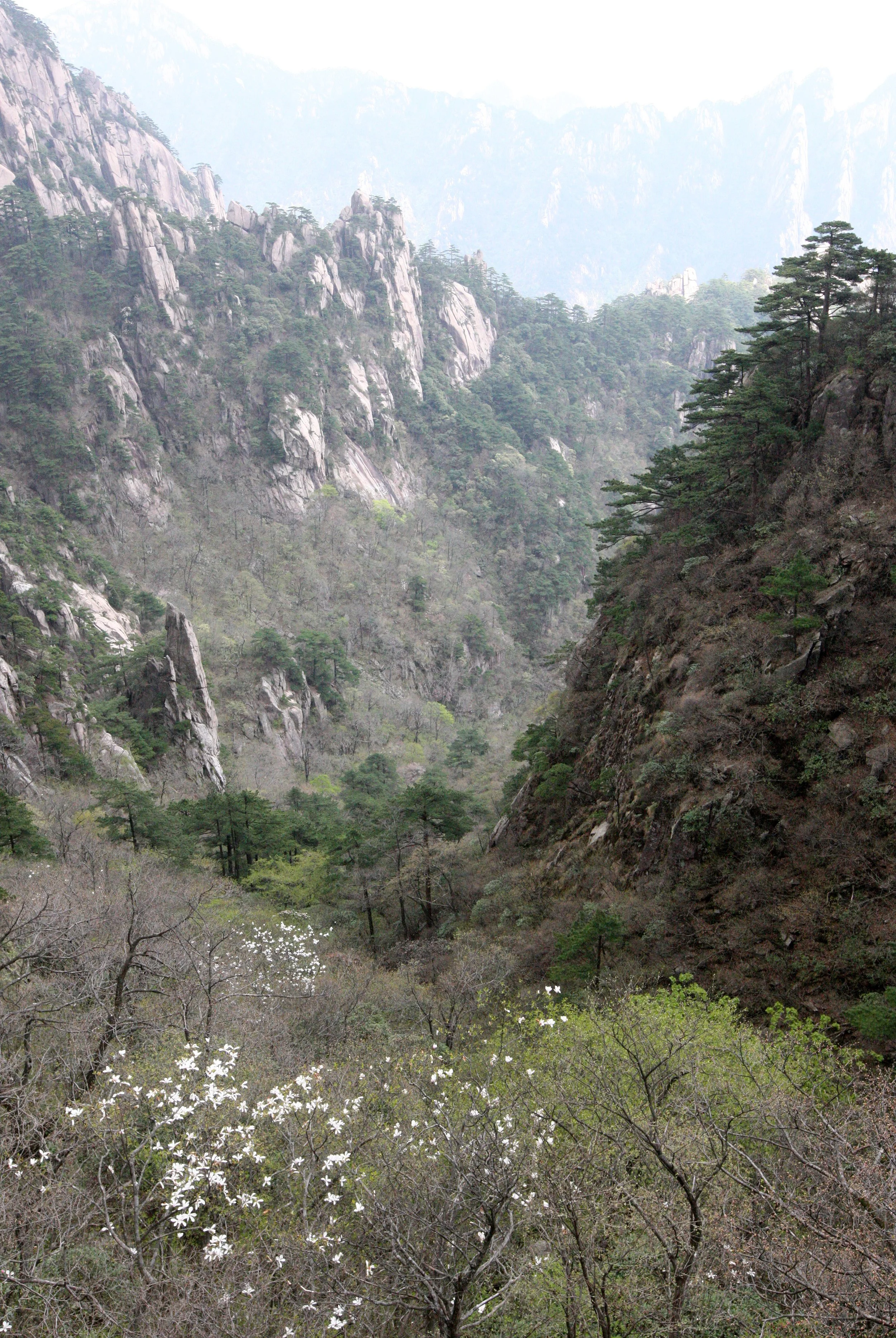 HUANGSHAN NATIONAL PARK ANHUI PROVINCE CHINA (23).JPG