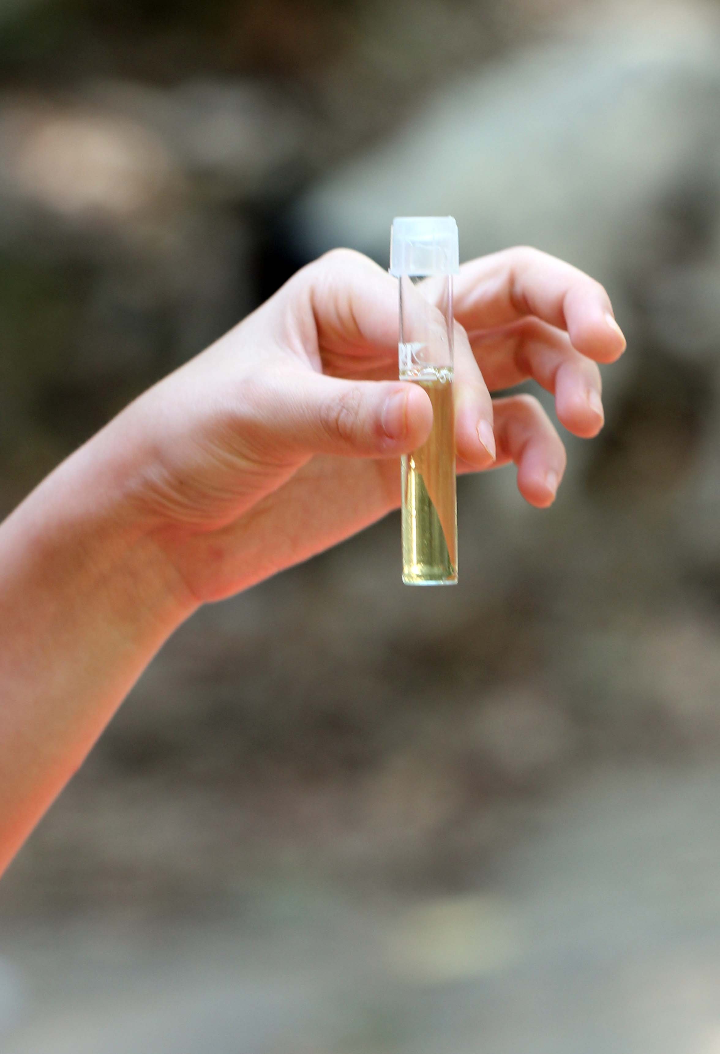 2014 ISB Trip to Tonte Falls in Trang (57).JPG