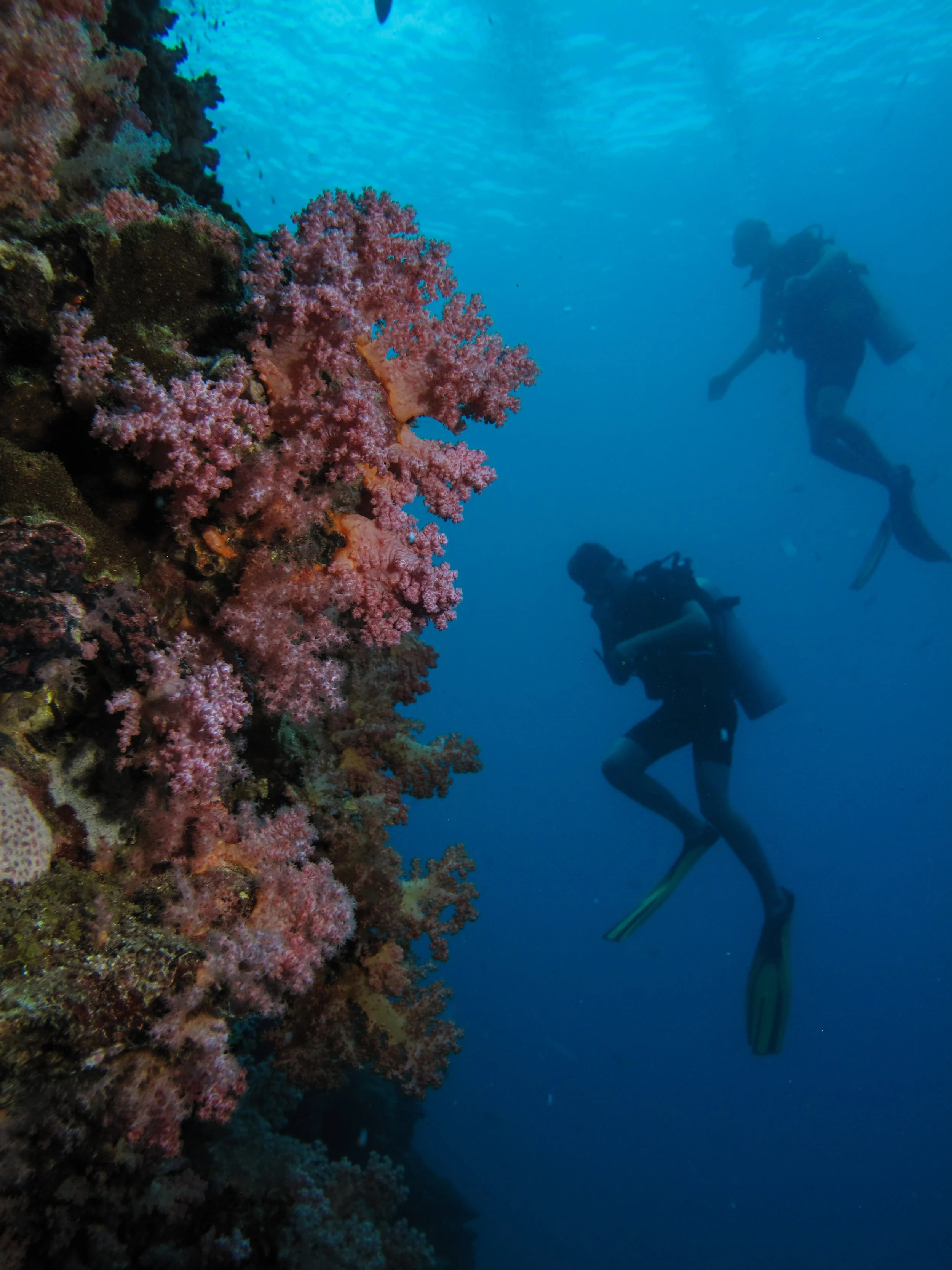 2013 Diving Koh Lanta (12).jpg