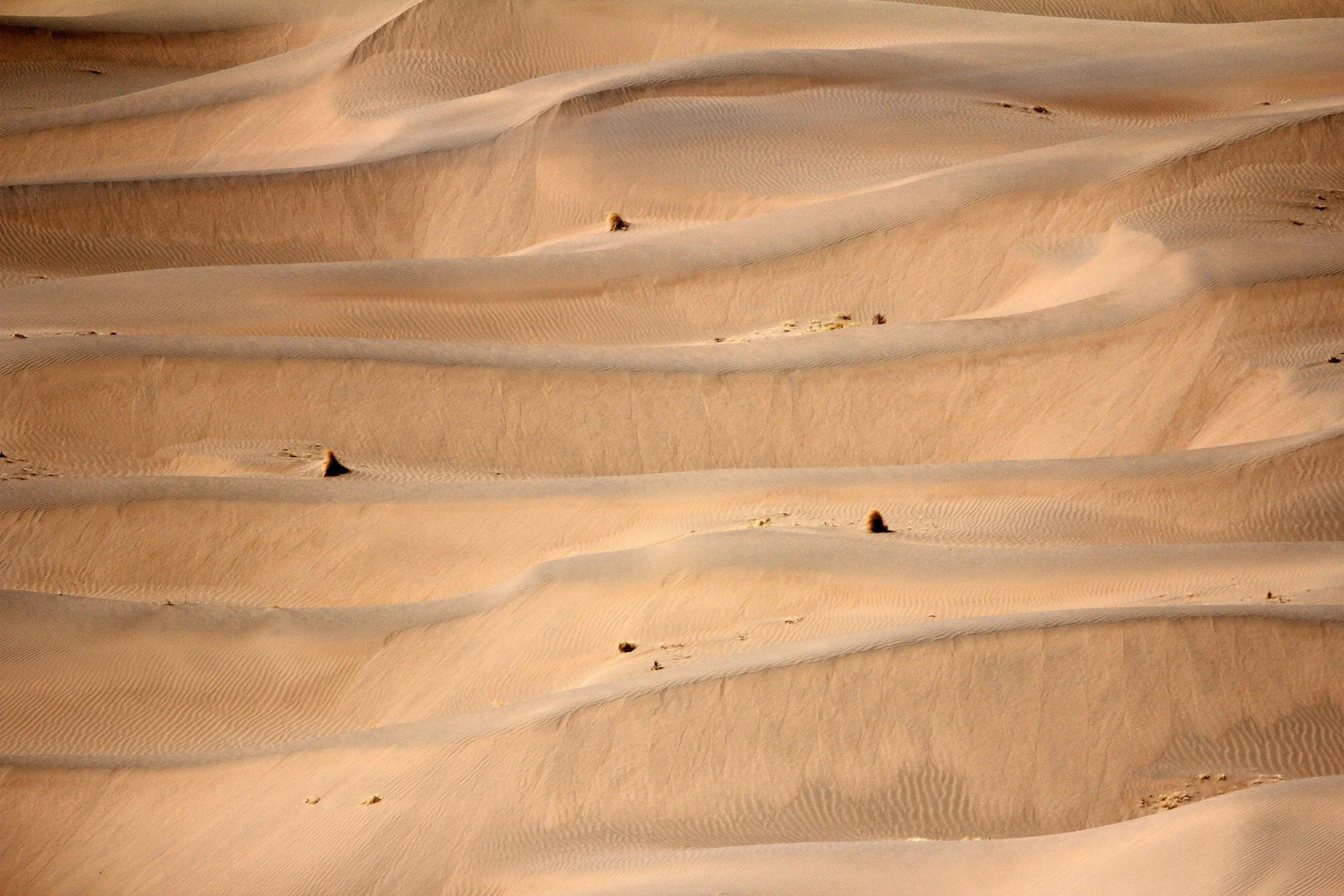 GANSU - DUNES SOUTH OF DUNHUANG - CHINA (11).JPG