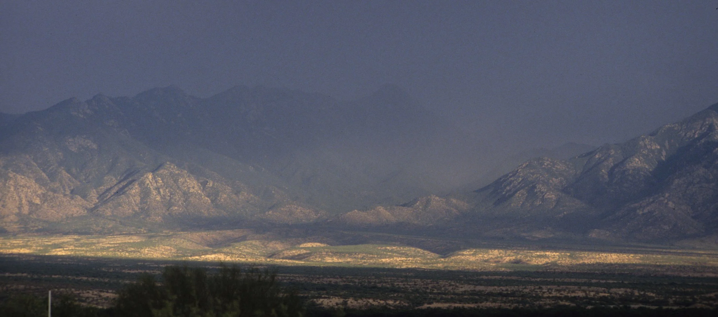 ARIZONA - MADERA CANYON - RESEARCH - MONSOONS COMING B.jpg