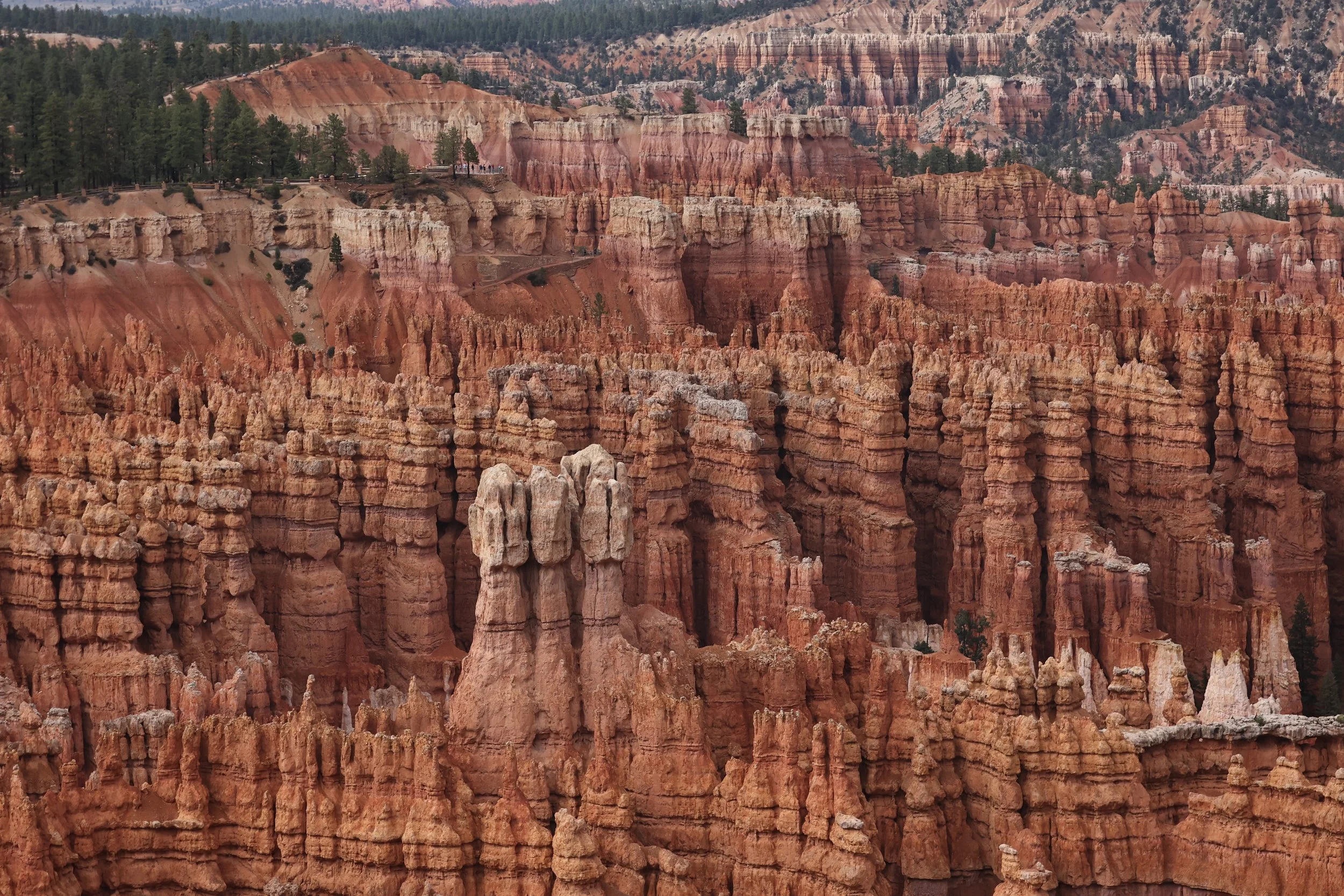 BRYCE CANYON UTAH 2022 (45).JPG