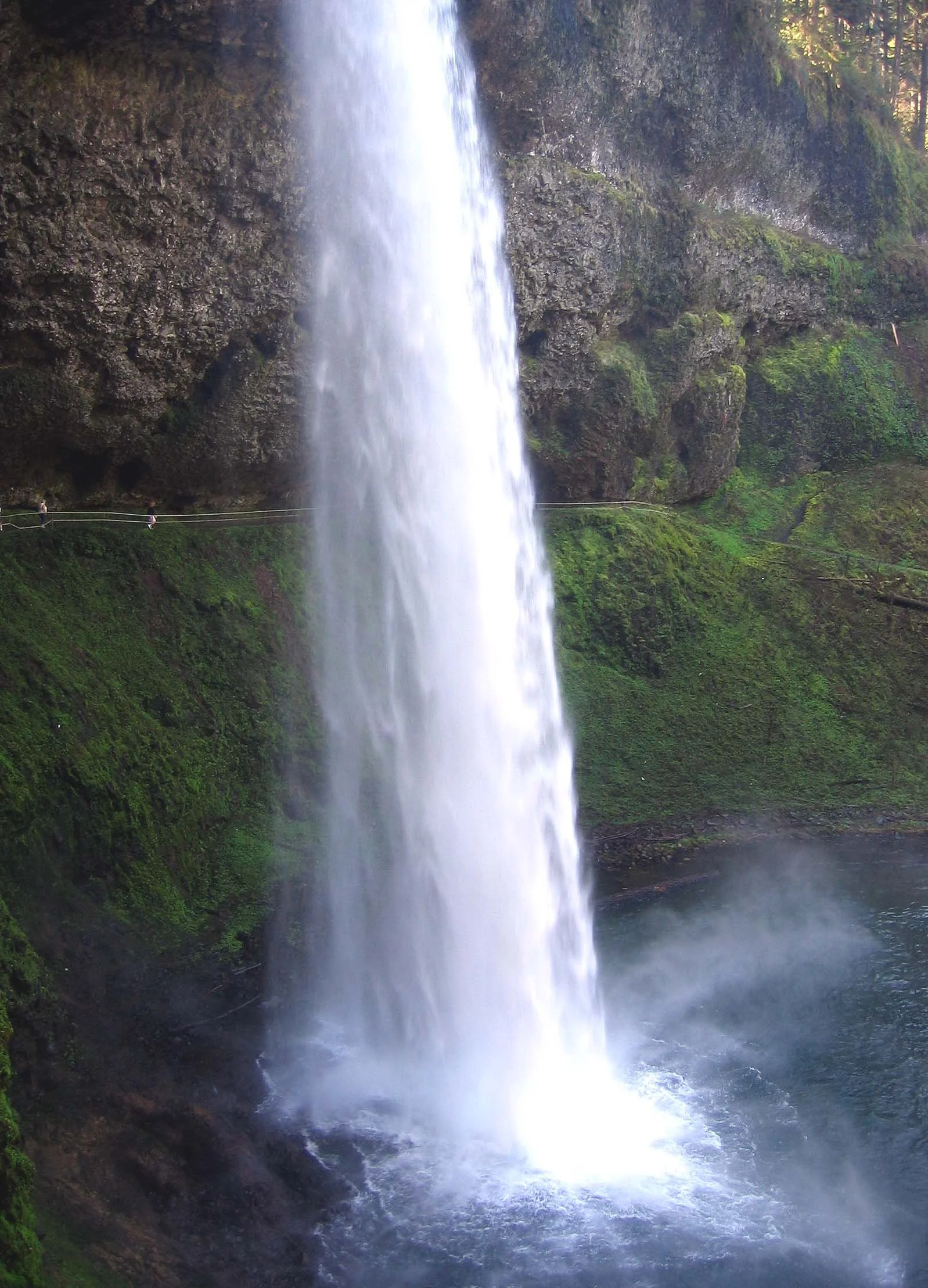 OREGON - SILVER FALLS STATE PARK (5).jpg