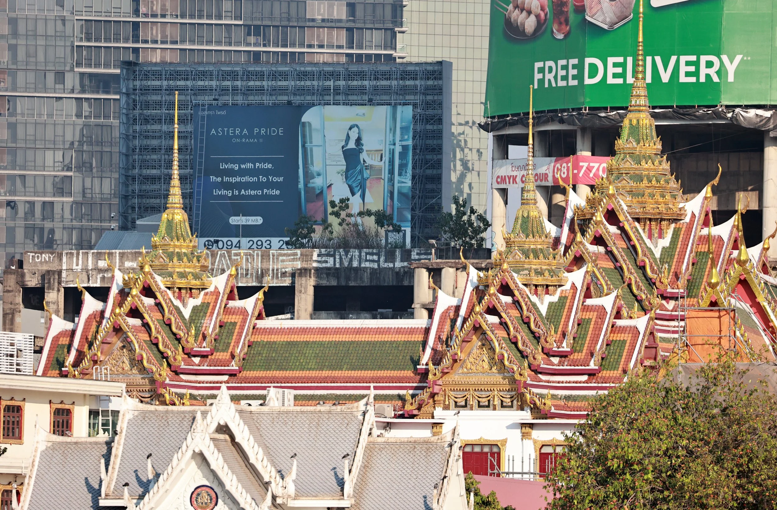 2025 Bangkok on Valentines Day 2025 from the Ibis Riverside Hotel (27).JPG