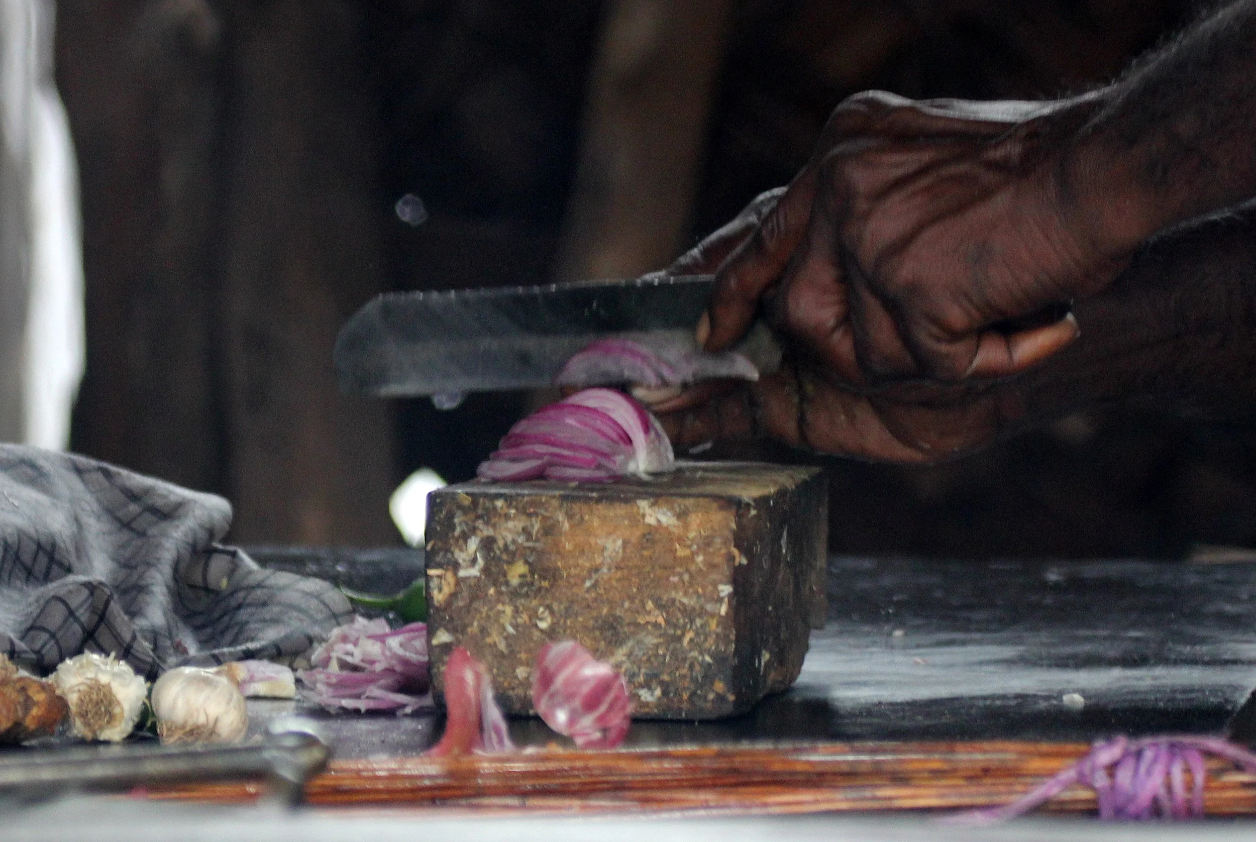 CHINNAR NATIONAL PARK TAMIL NADU INDIA (13).JPG