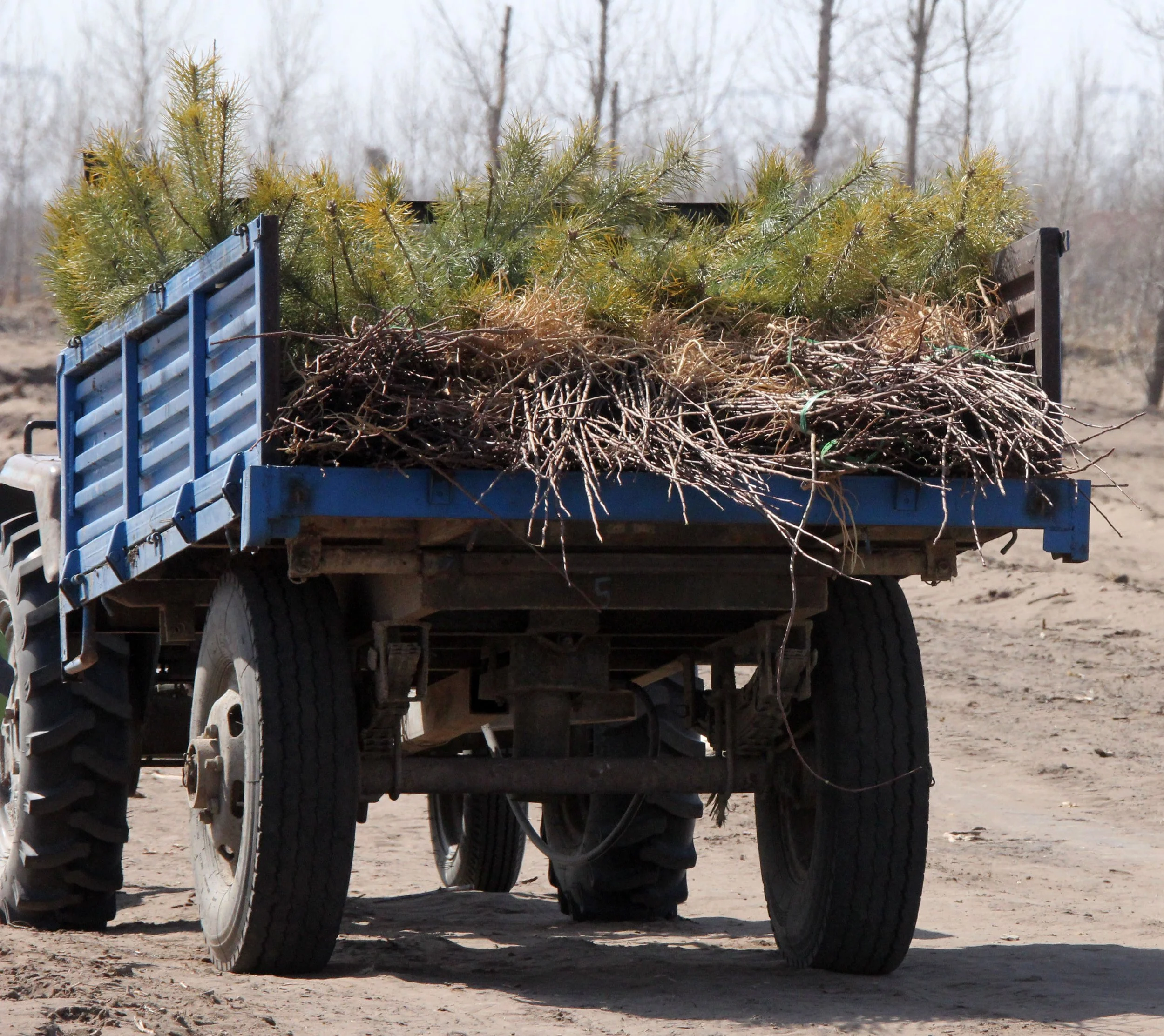 INNER MONGOLIA 2013 (91).JPG