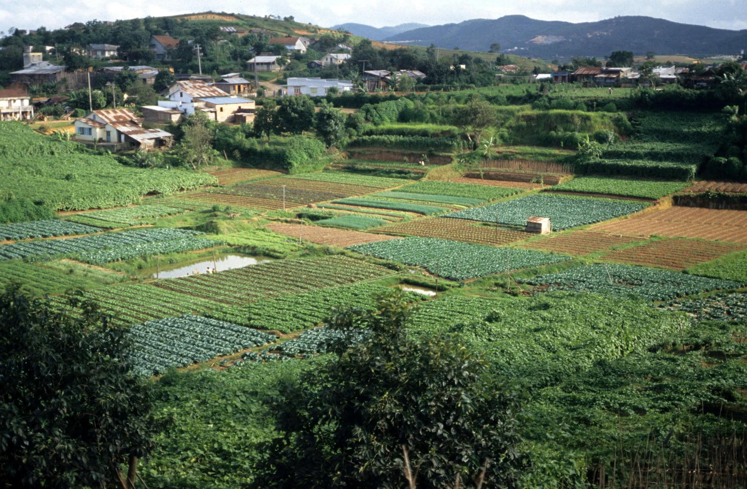 DALAT - VIET NAM 1994 (3).jpg